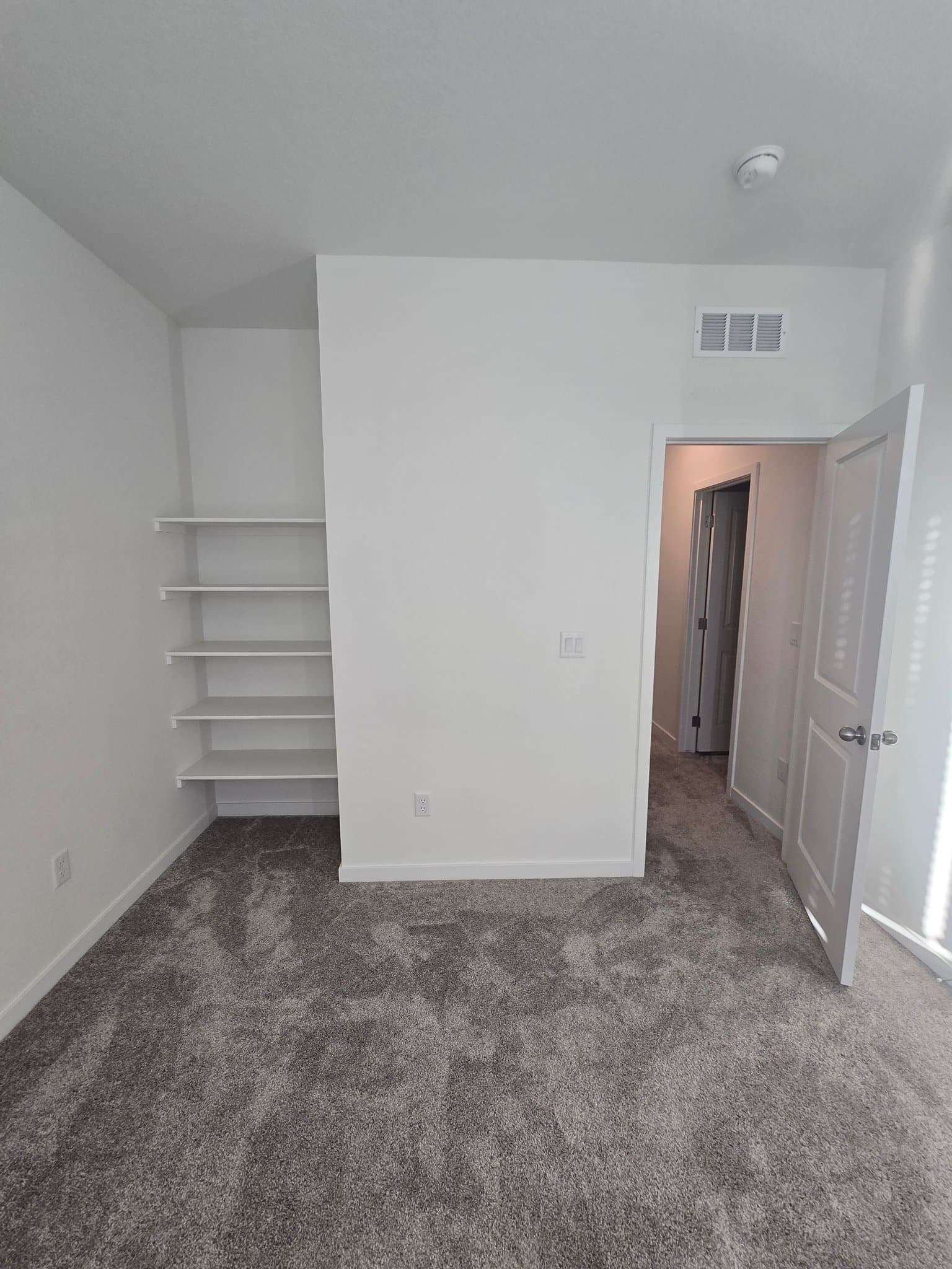 Timnath Townhome: 5382 Second Avenue
