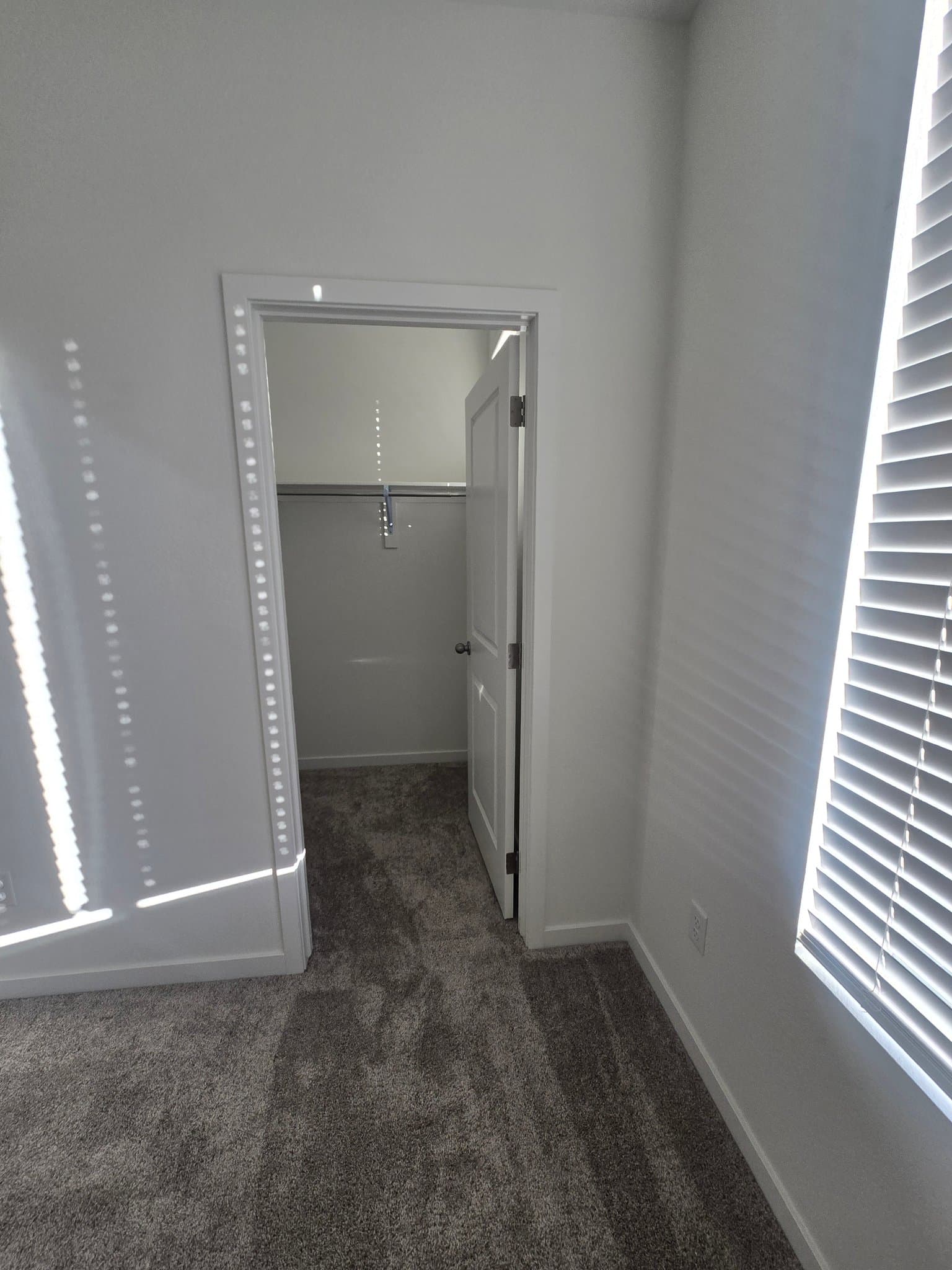 Timnath Townhome: 5382 Second Avenue