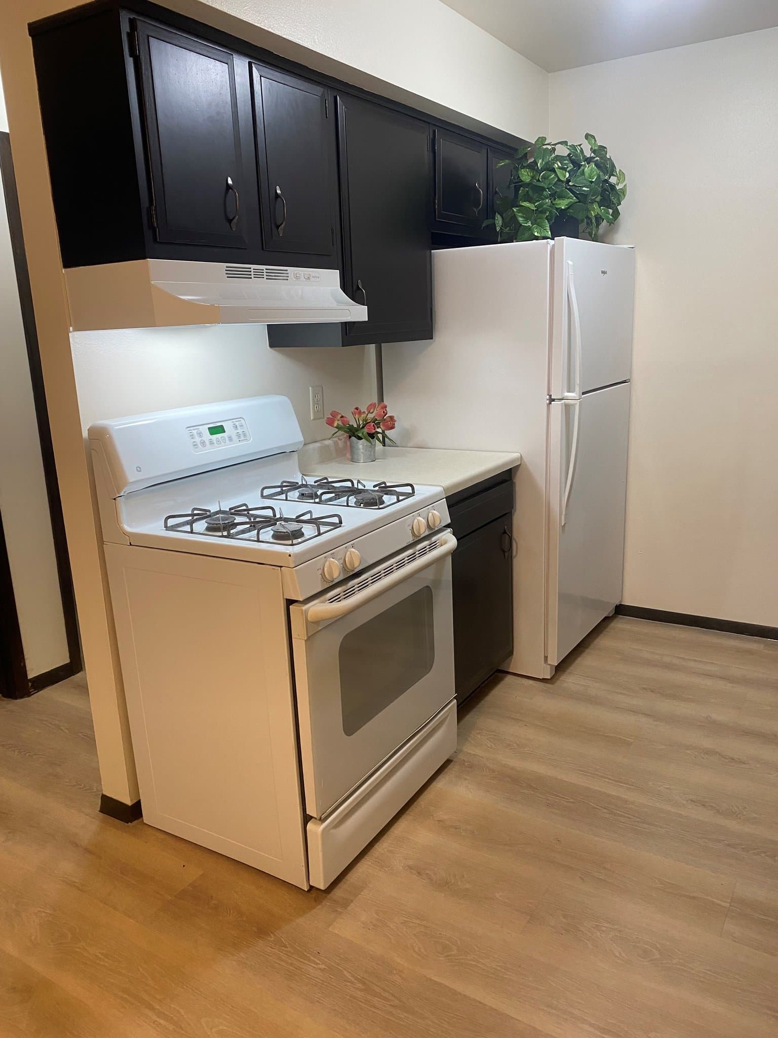 Greenfield Apartment: 6450 West Norwich