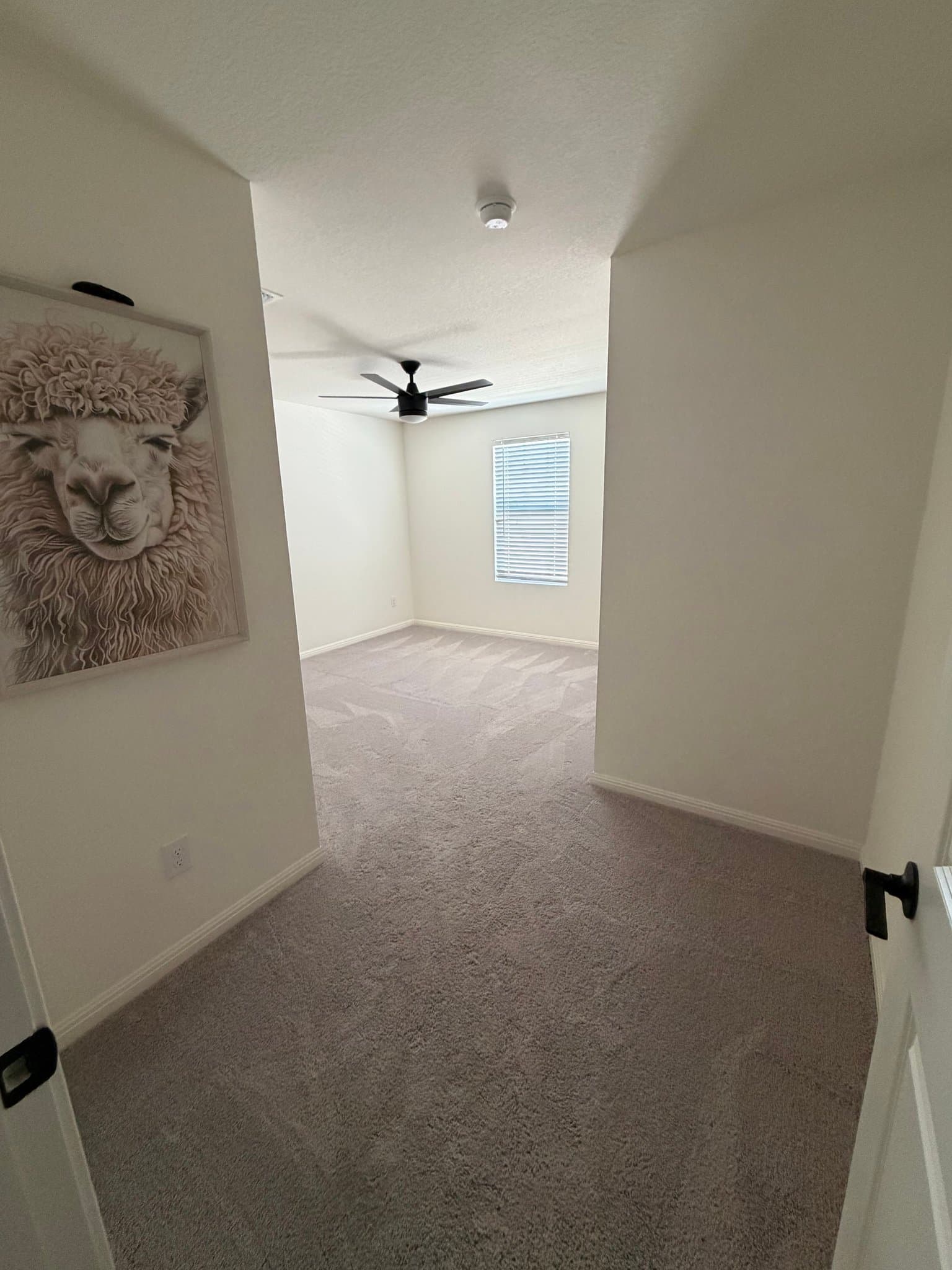 Hutto Single Room: 222 Stonebrook Dr.