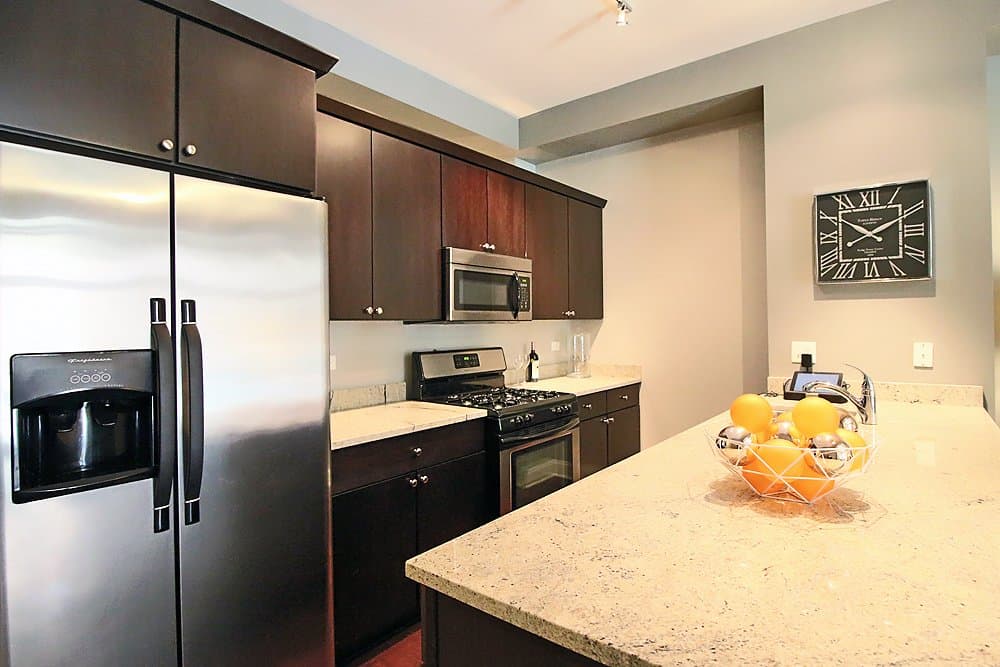 Chicago Condo: 1899 S Wabash Ave