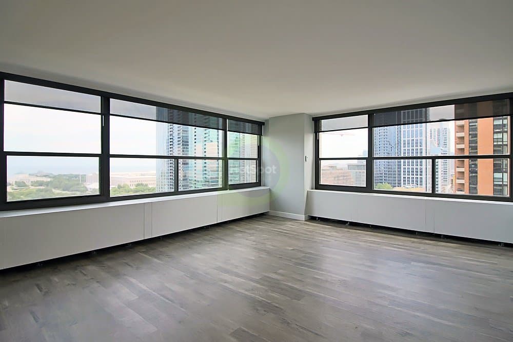 Chicago Condo: 1099 S Michigan Ave