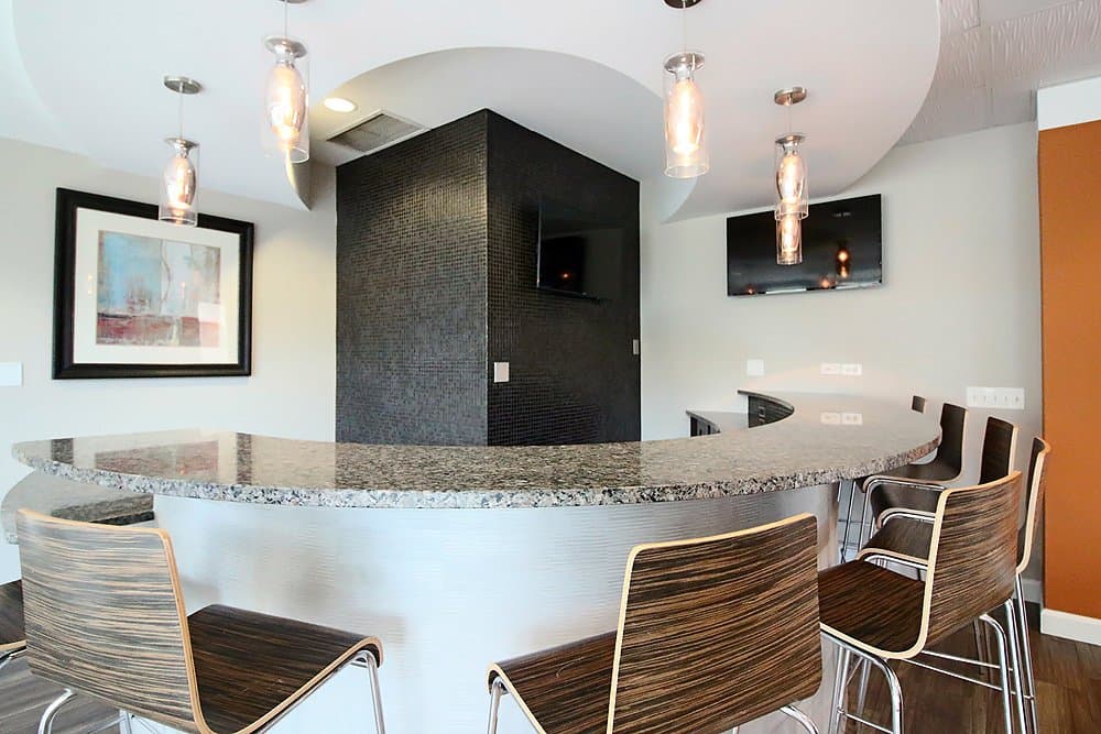 Chicago Condo: 1099 S Michigan Ave