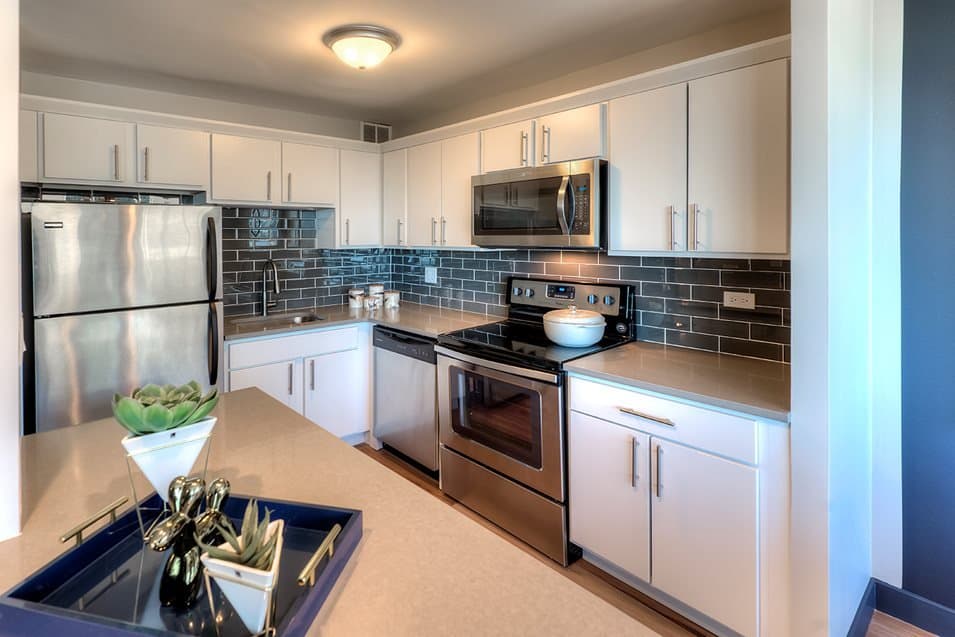 Chicago Condo: 1099 S Michigan Ave