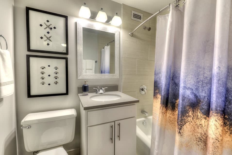 Chicago Condo: 1099 S Michigan Ave