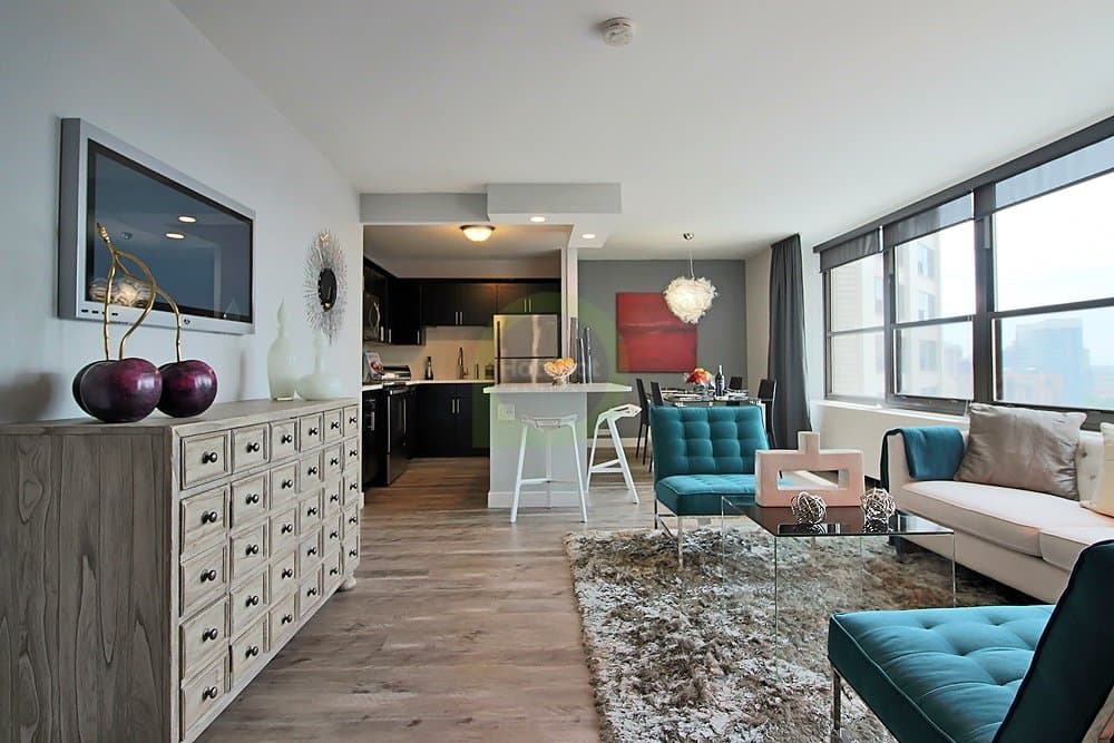 Chicago Condo: 1099 S Michigan Ave