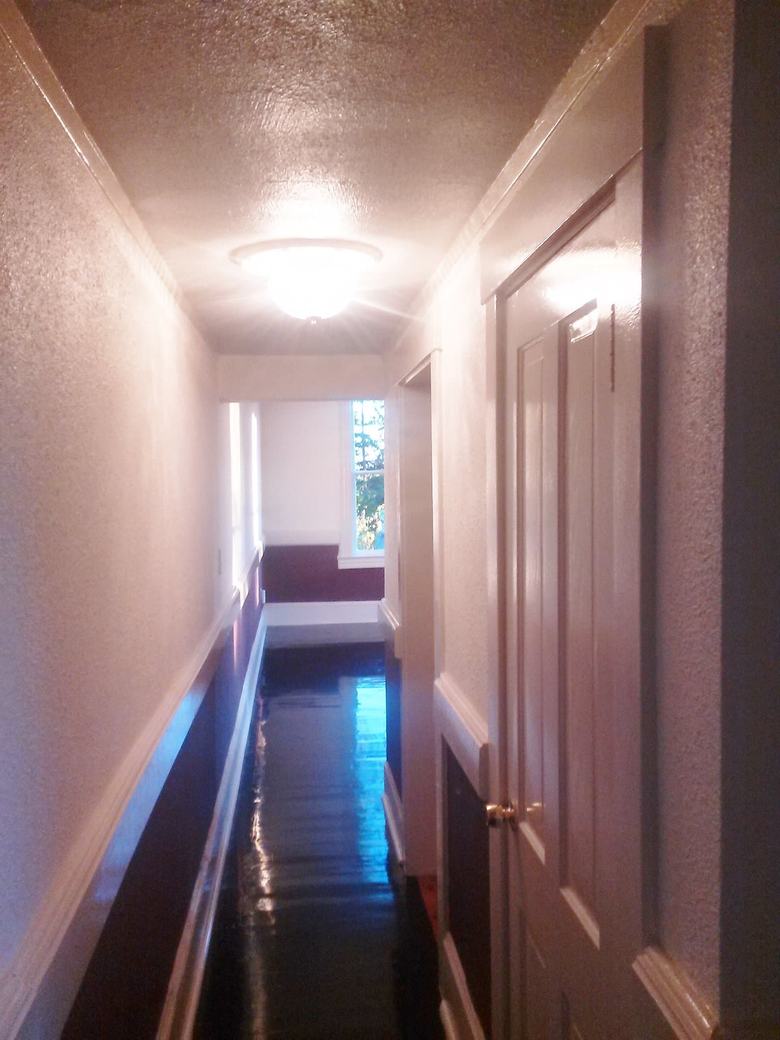 Tacoma Apartment: 12323 A St S