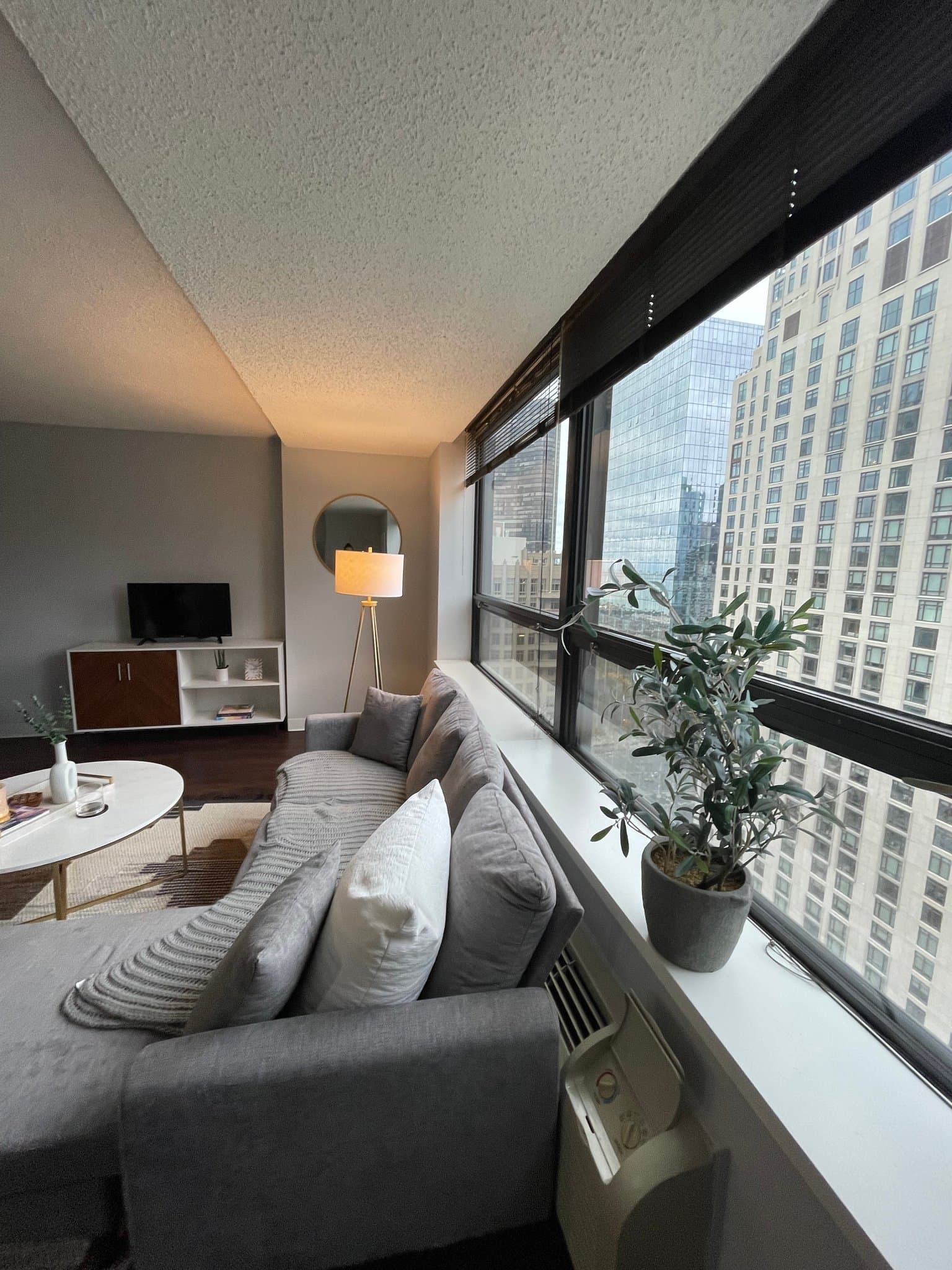 Chicago Condo: 333 E Grand Ave