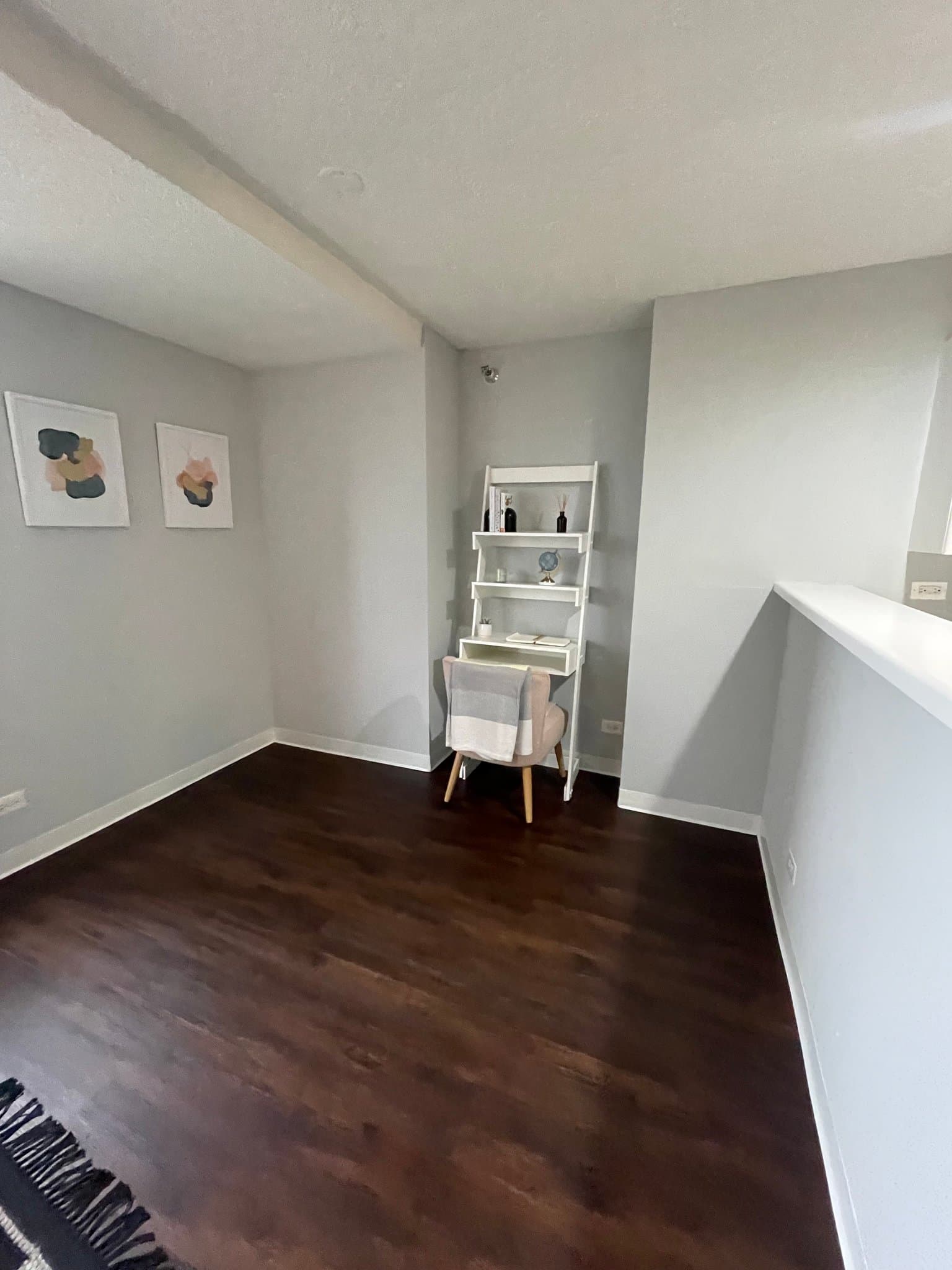 Chicago Condo: 333 E Grand Ave