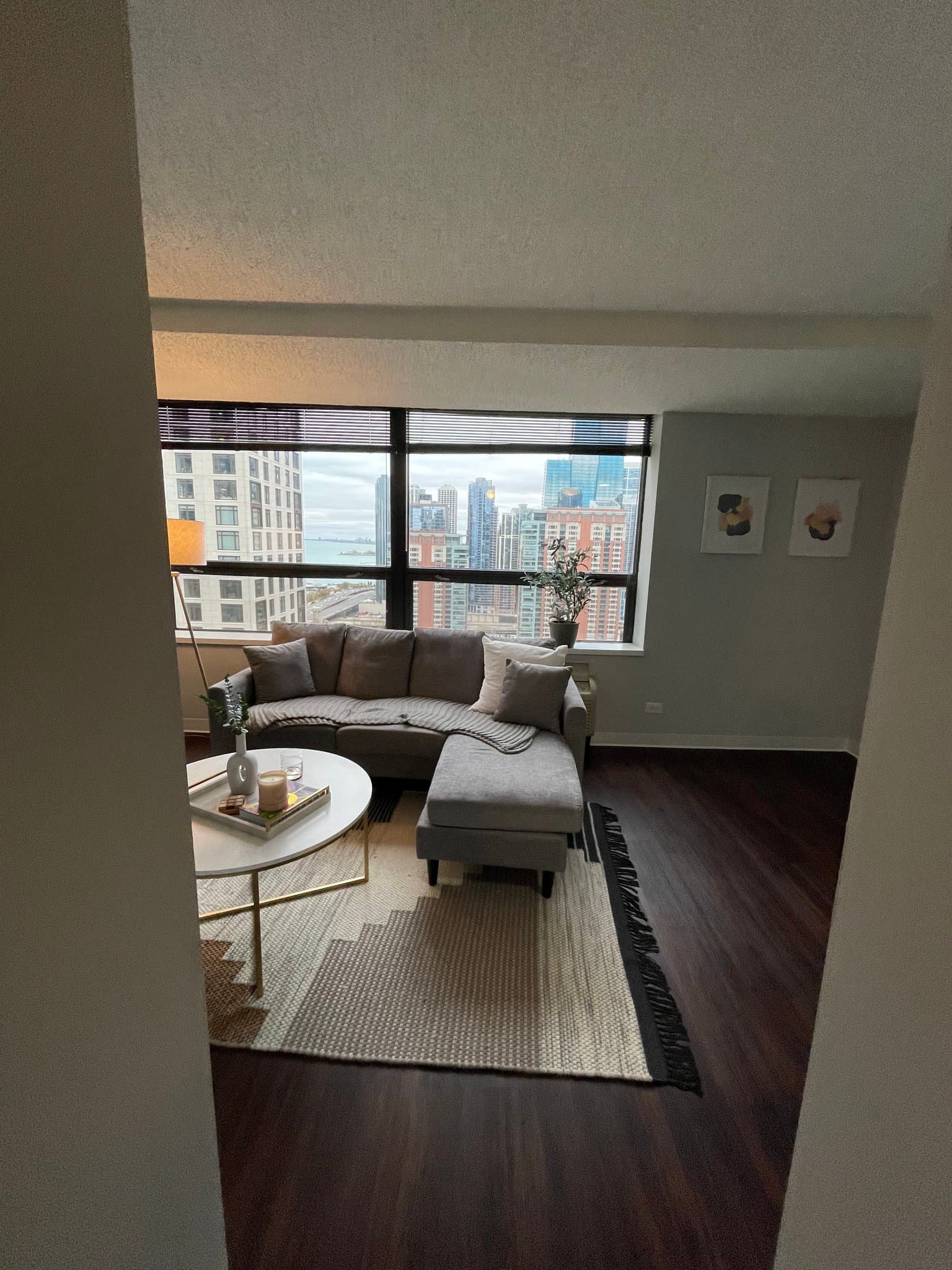 Chicago Condo: 333 E Grand Ave