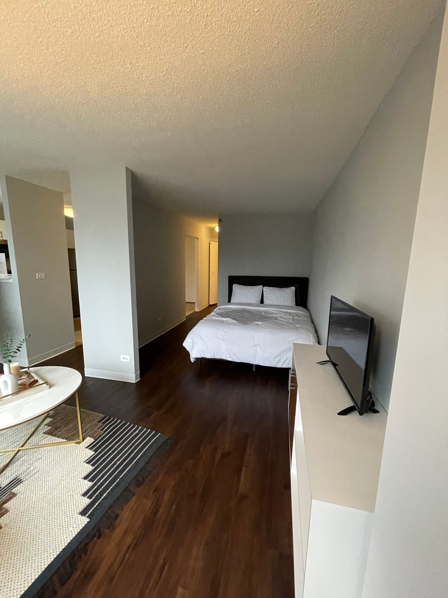 Chicago Condo: 333 E Grand Ave