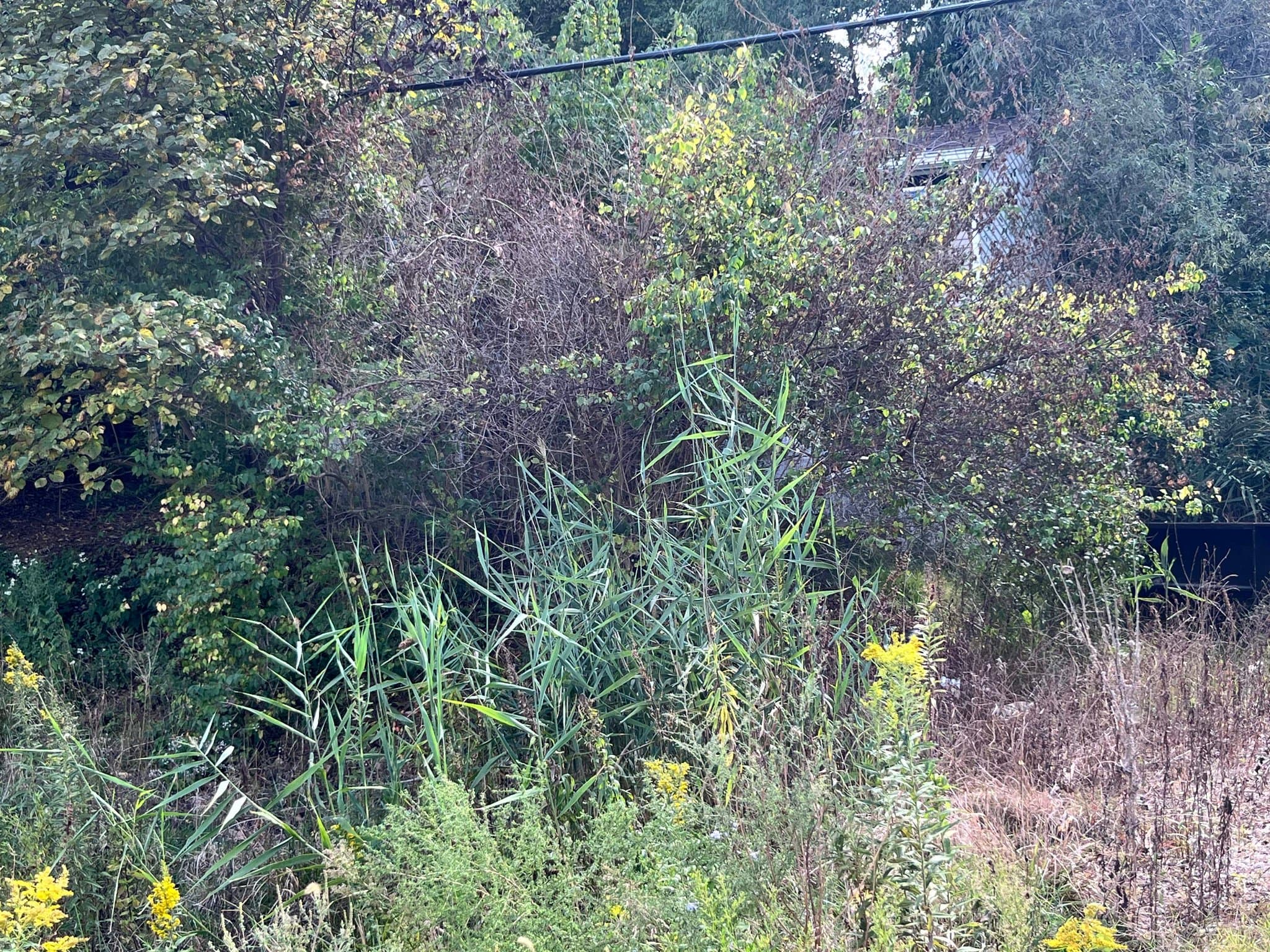 Centreville House: 112 N 88th St.