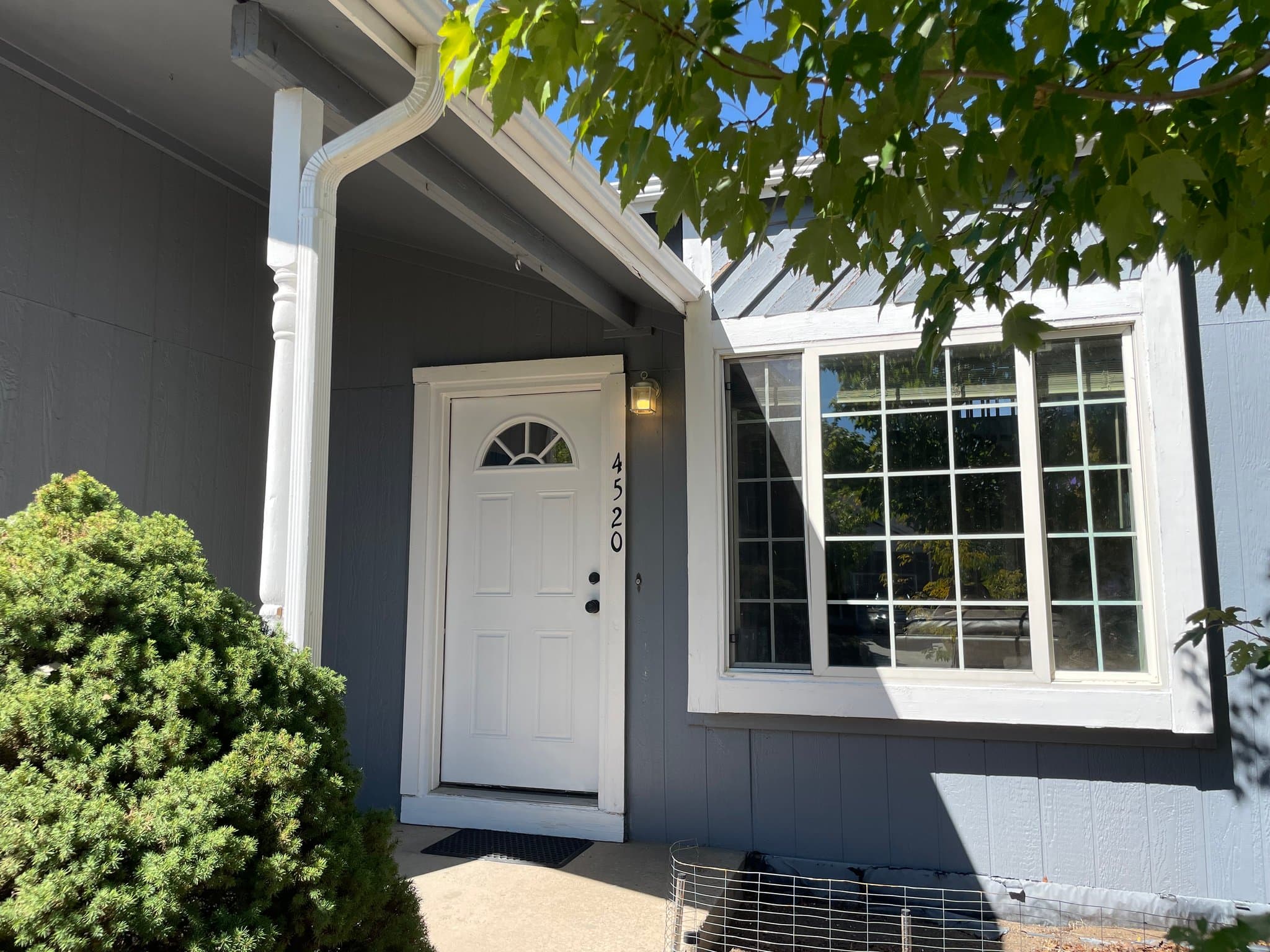 COLORADO SPRINGS Single Room: 4520 Hollyridge Dr