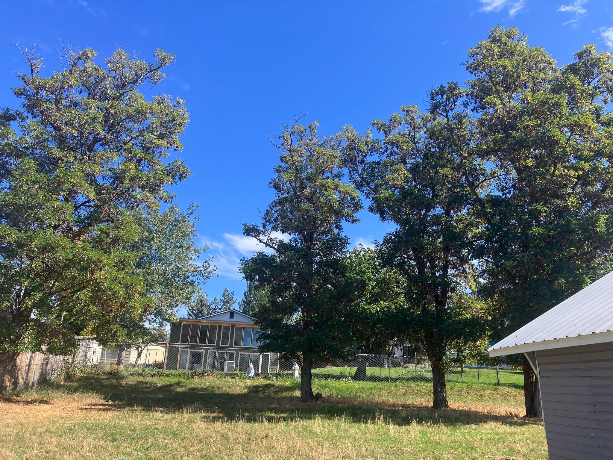 Klamath Falls House: 2535 Bly St
