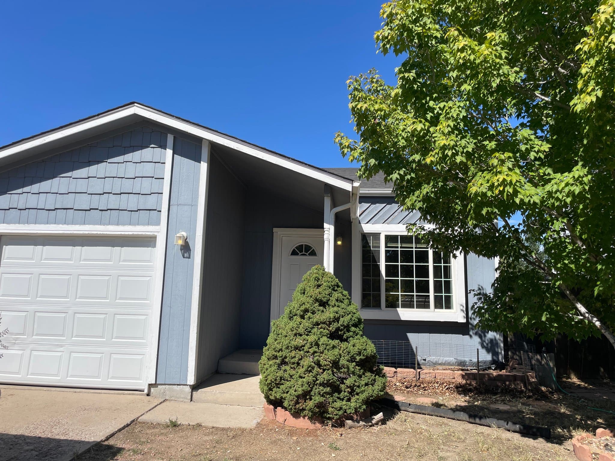 COLORADO SPRINGS Single Room: 4520 Hollyridge Dr