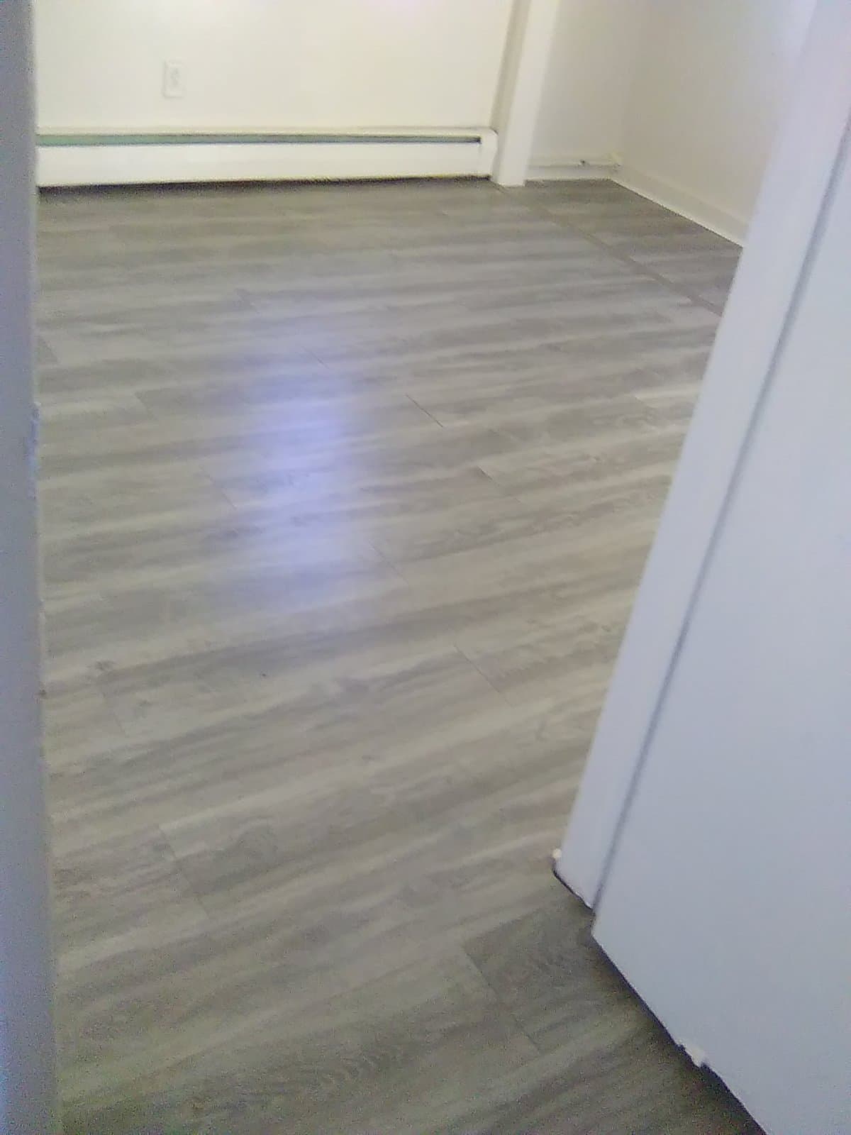 carteret Apartment: 134 heald street