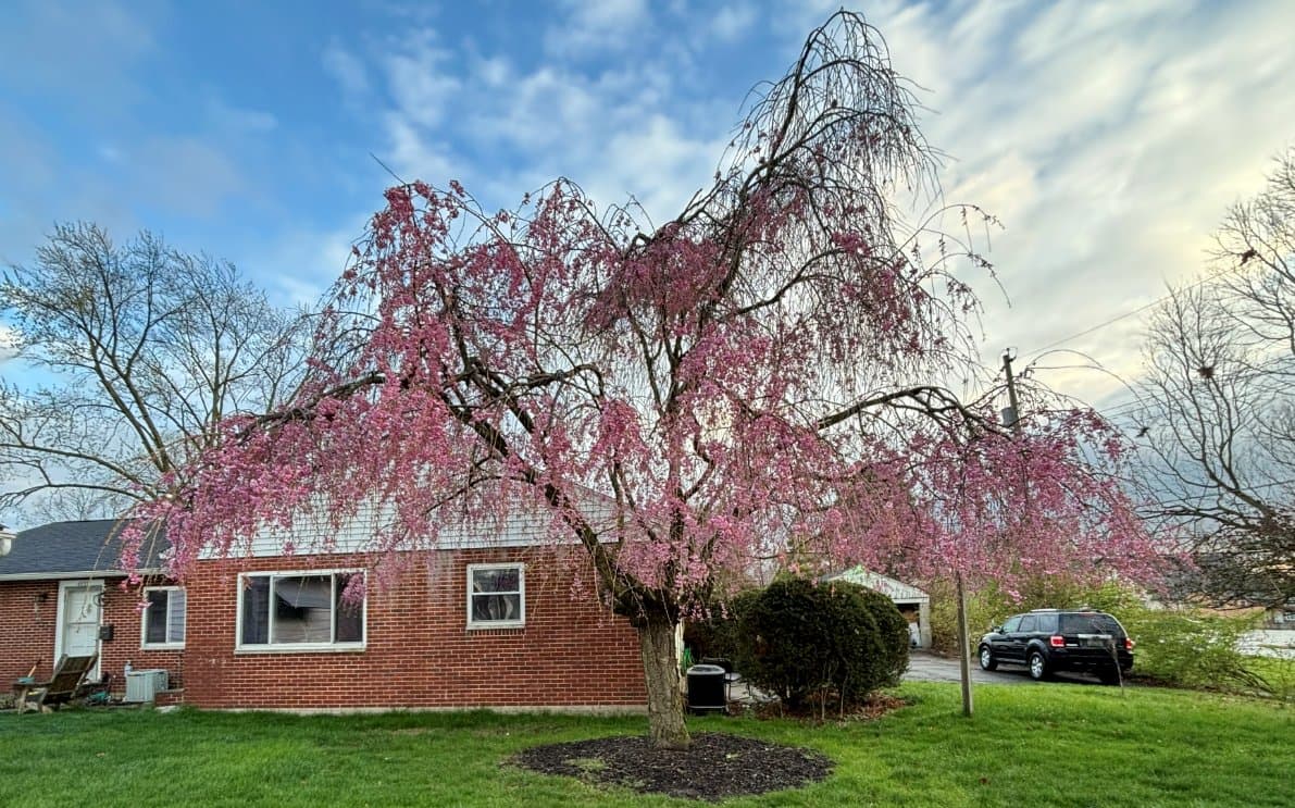 Columbus Multiplex: 4939 Fuller Dr