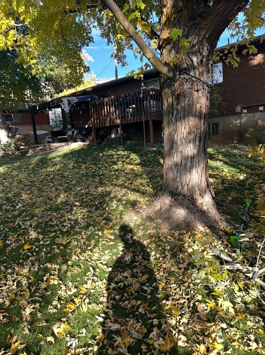North Ogden House: 2781 N 500 E