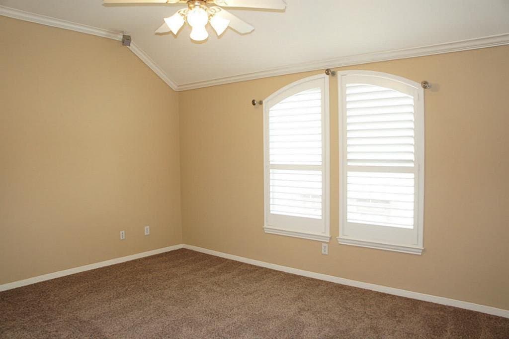 Houston Townhome: 1908 Prospect Street