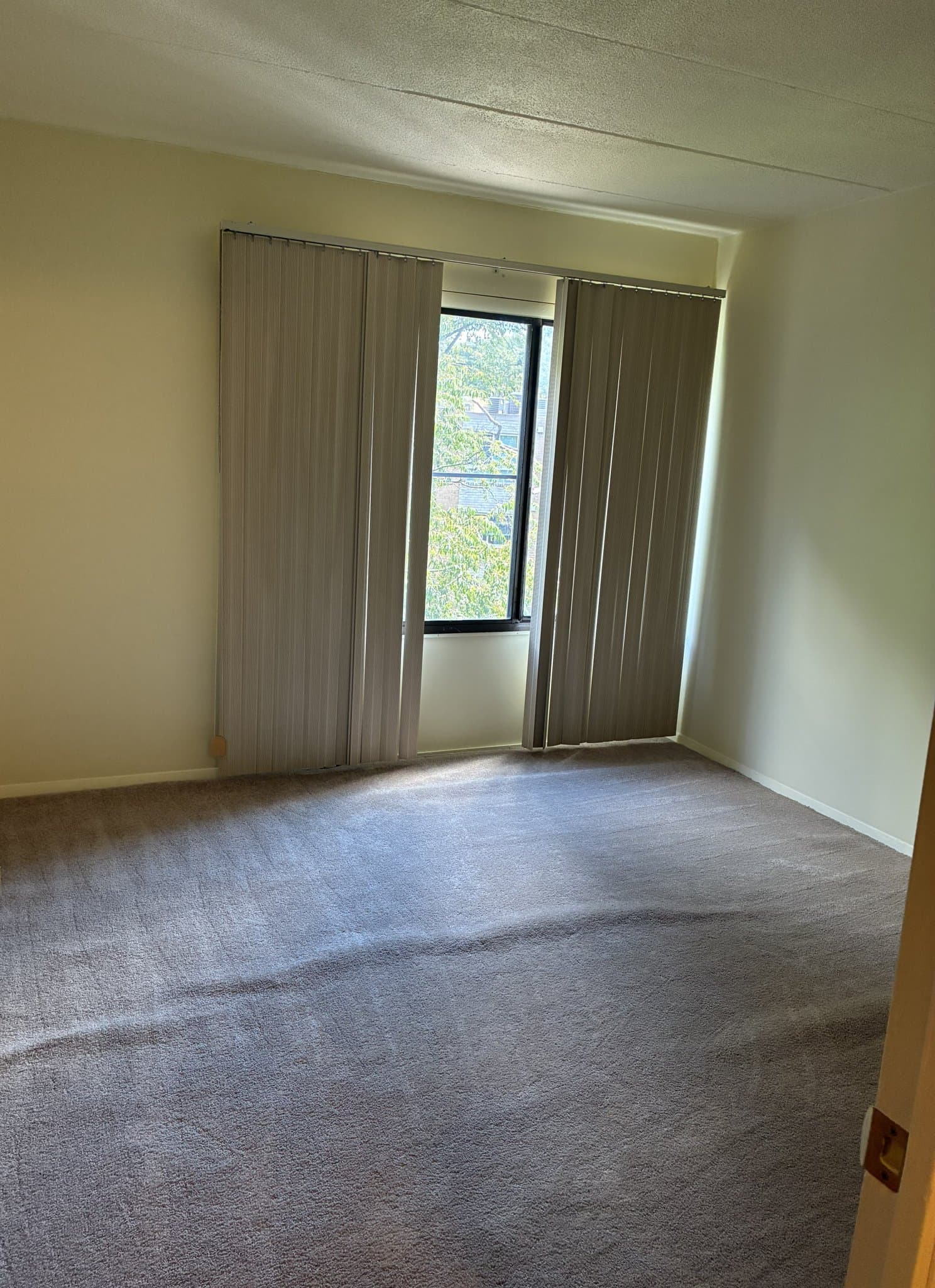 Silver Spring Condo: 3301 Hewitt Ave