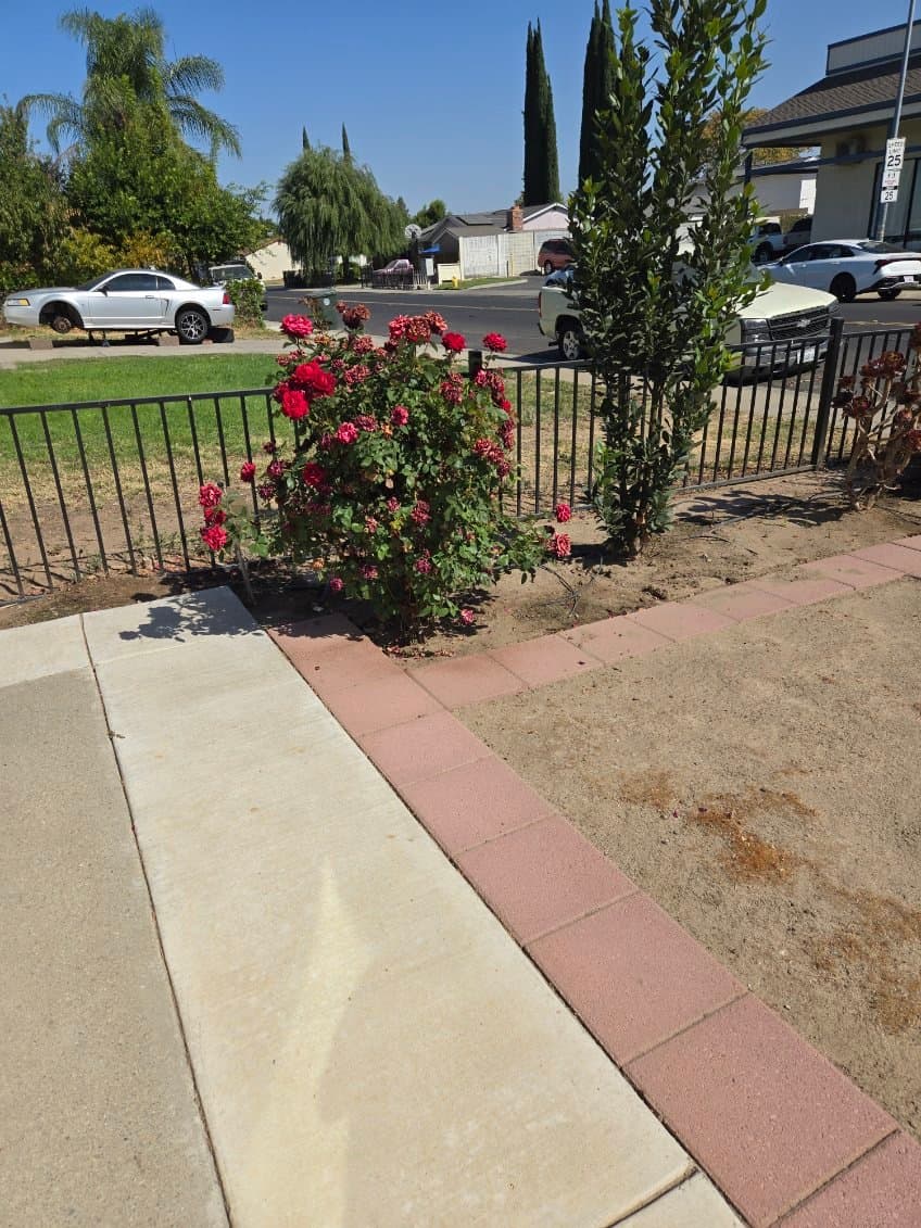 Manteca House: 1121 Crestwood Ave
