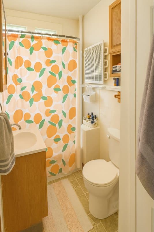 Madison Condo: 149 E Gilman