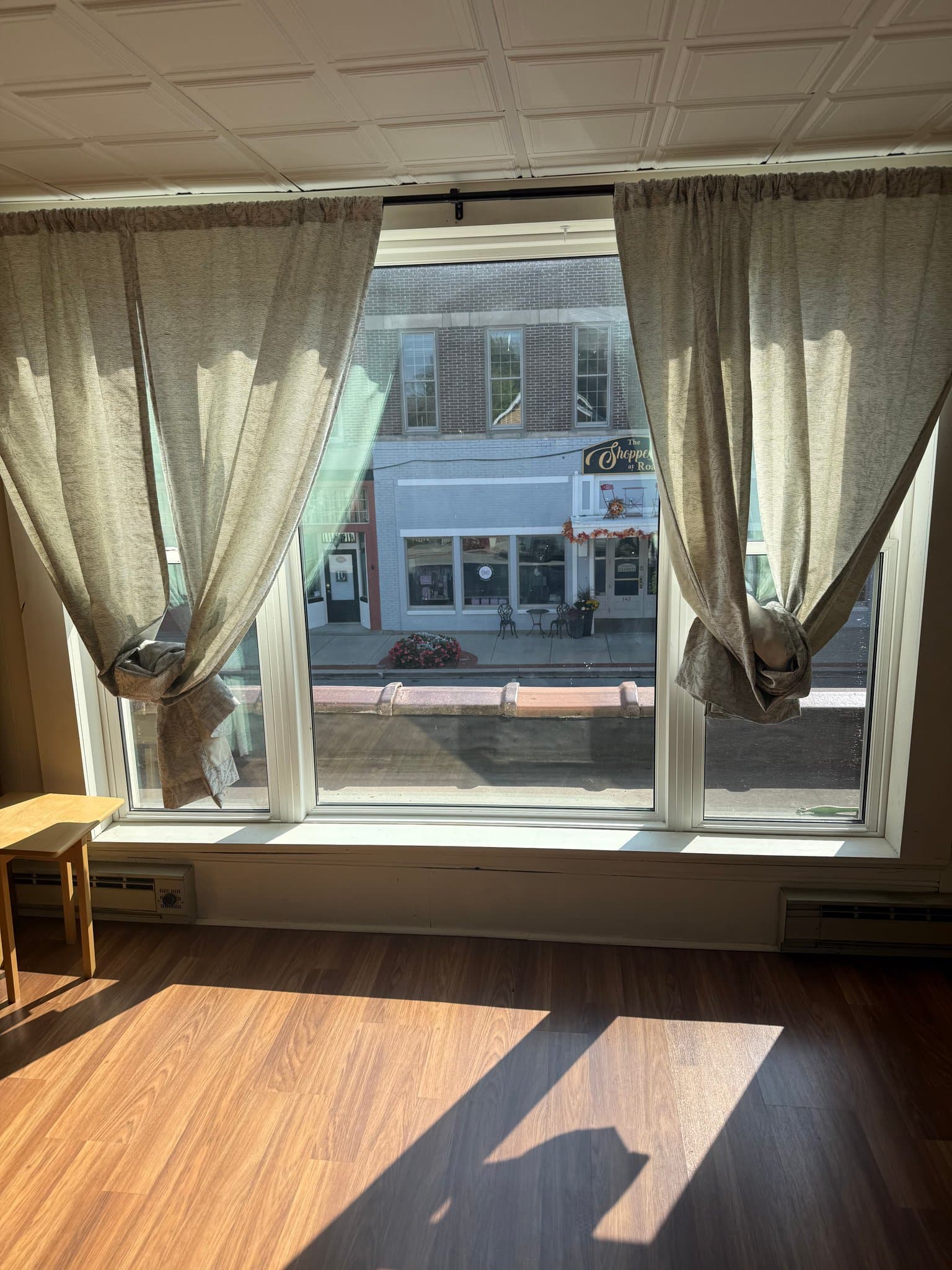 Roanoke Condo: 161 N. Main St.