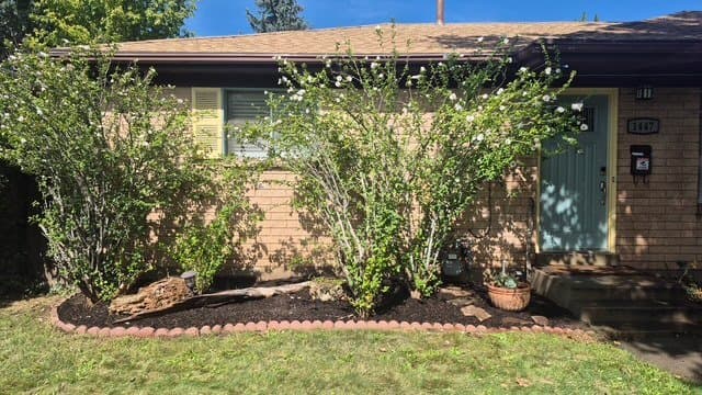 Murray House: 1447 E 5935 S