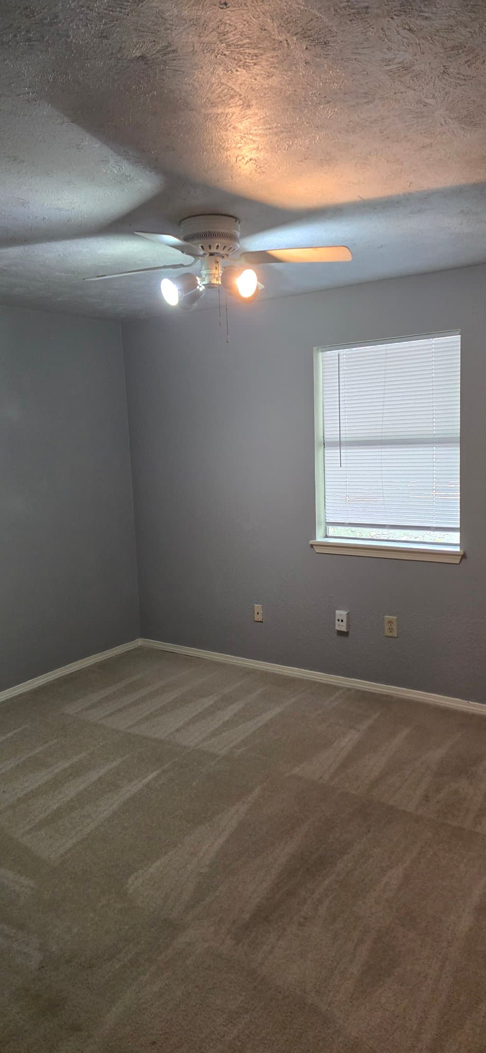 Houston Multiplex: 3218 Chaffin St