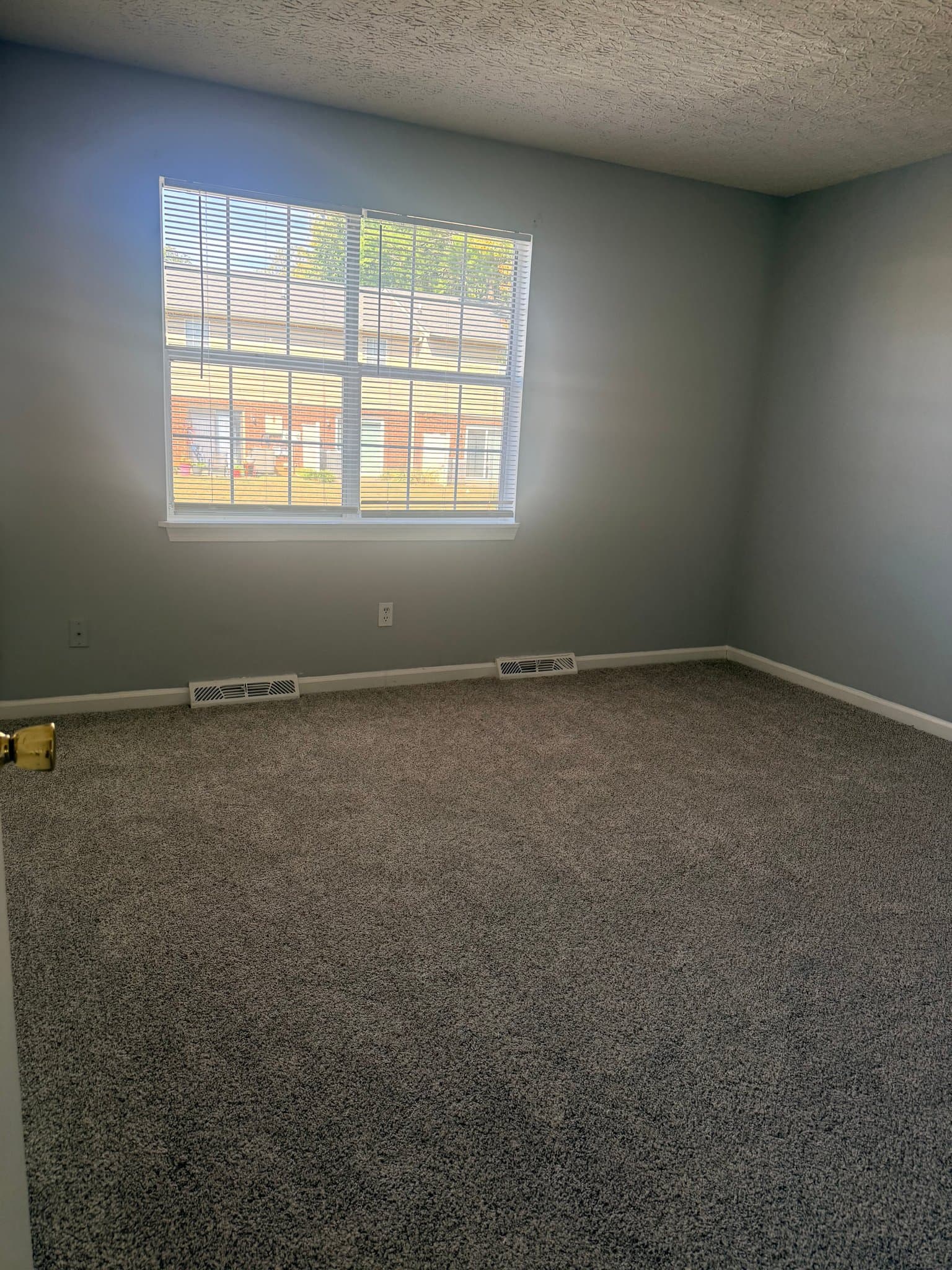 Lynchburg Townhome: 23 Hobbs Ln