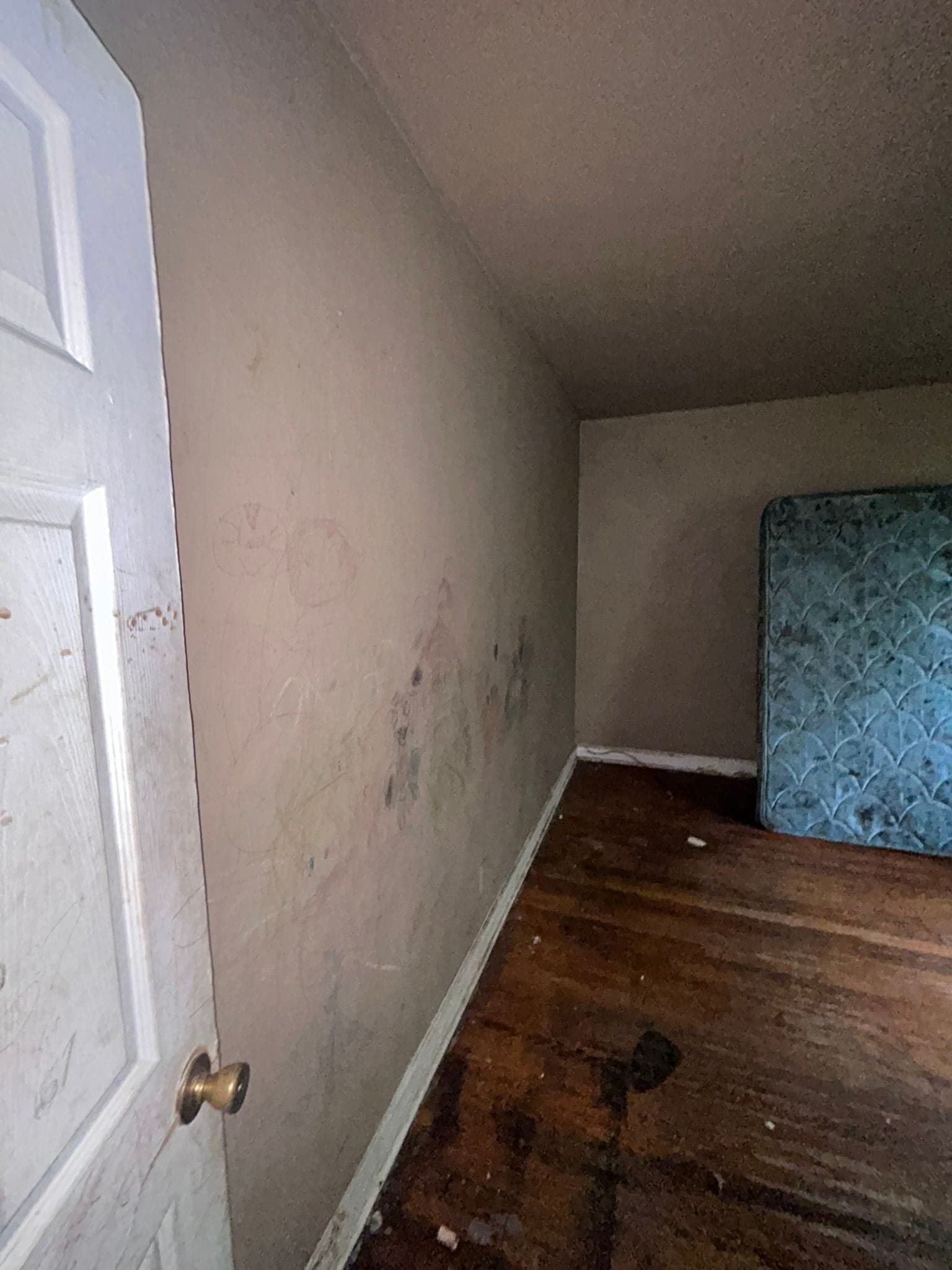 St. Louis House: 5811 Saloma Ave