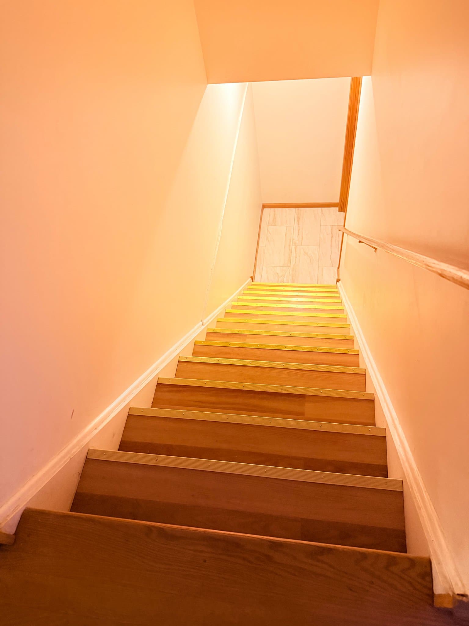 Chicago Townhome: 3400 S Wolcott
