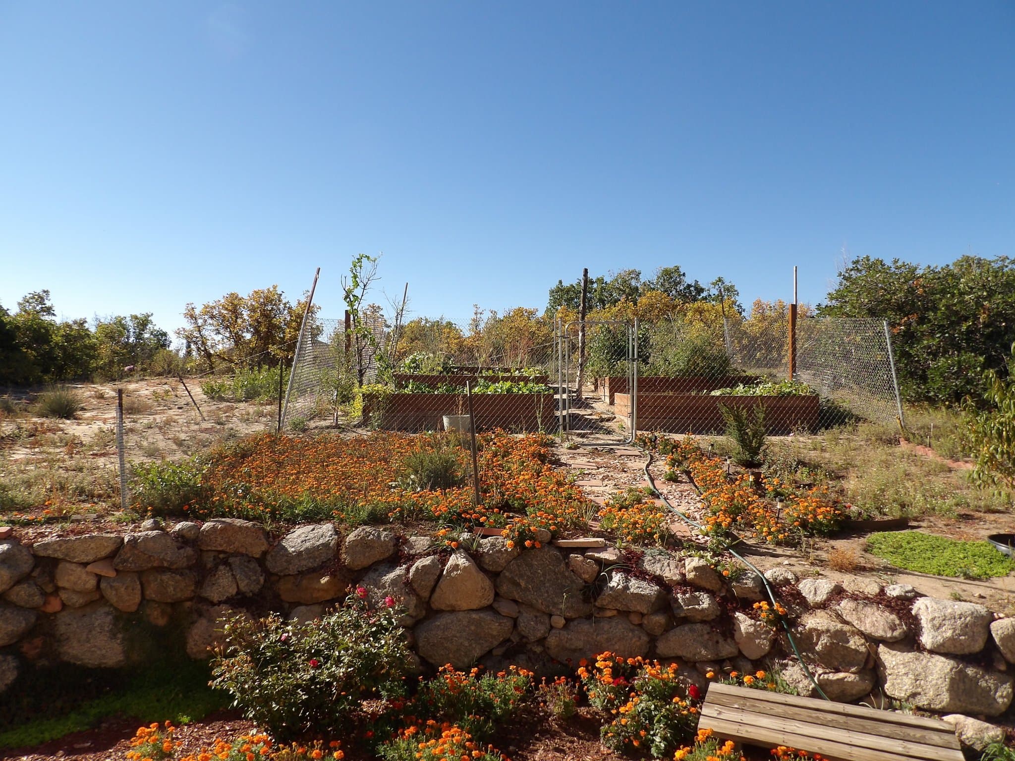 Colorado Springs House: 1347 Lily Lake Drive