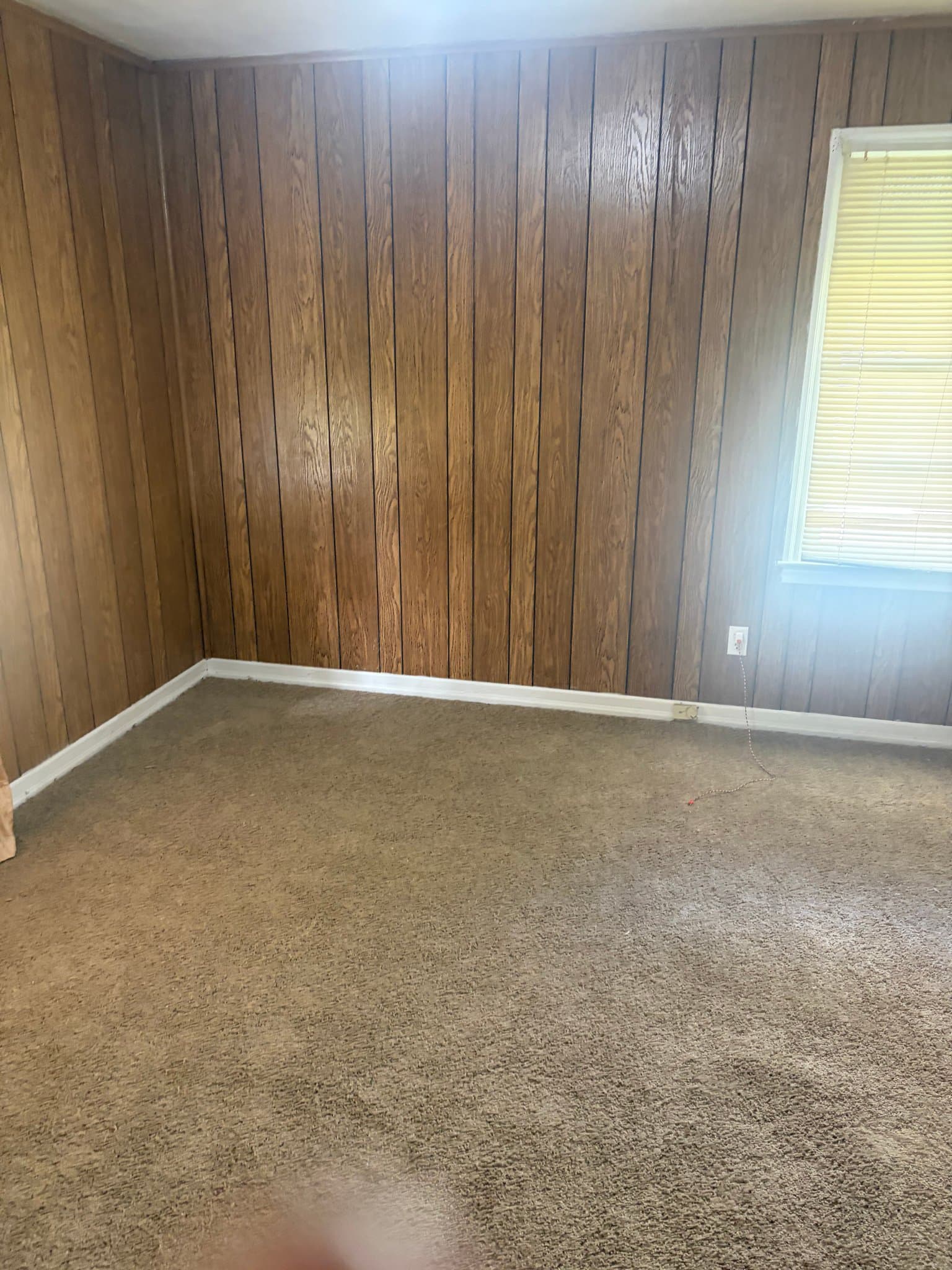 Albany House: 411 Louis Avenue
