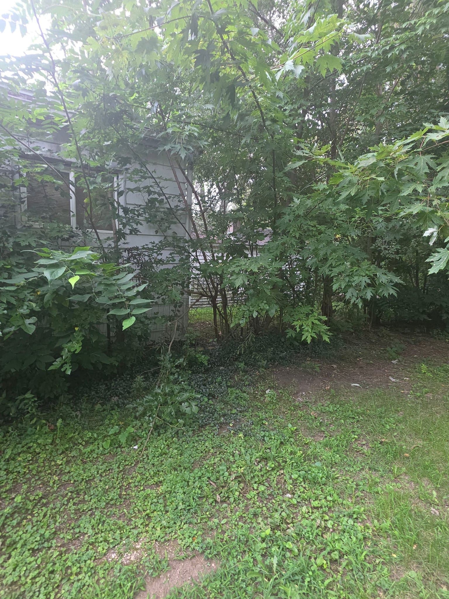 Pekin House: 1021 Maple St