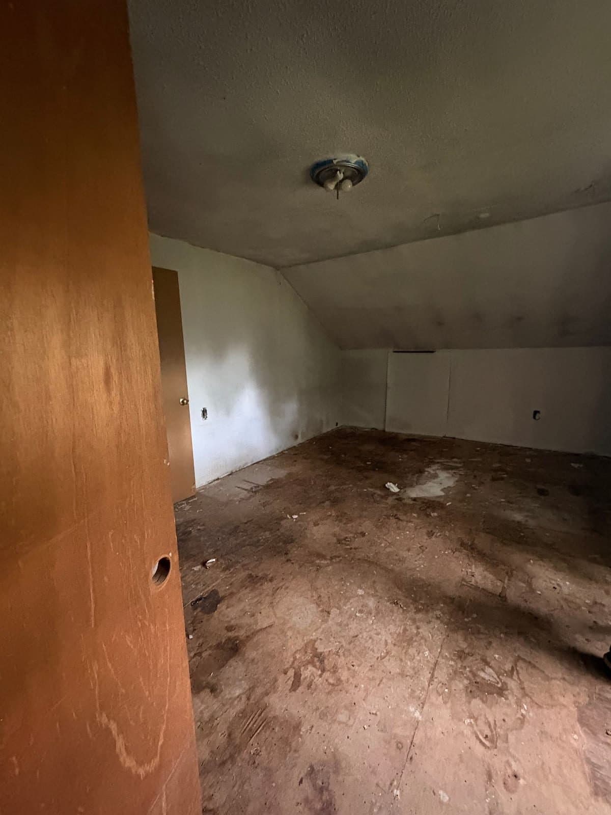 Detroit House: 12094 Littlefield St