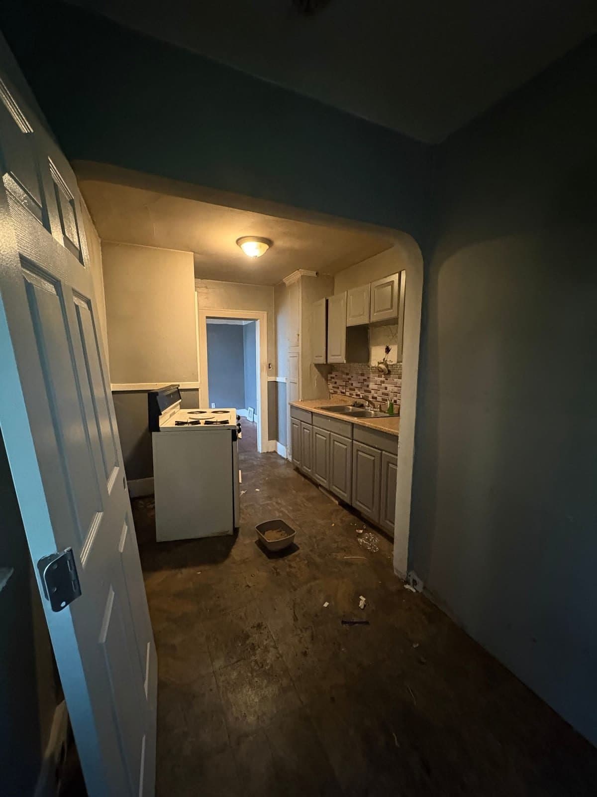 Detroit House: 12094 Littlefield St
