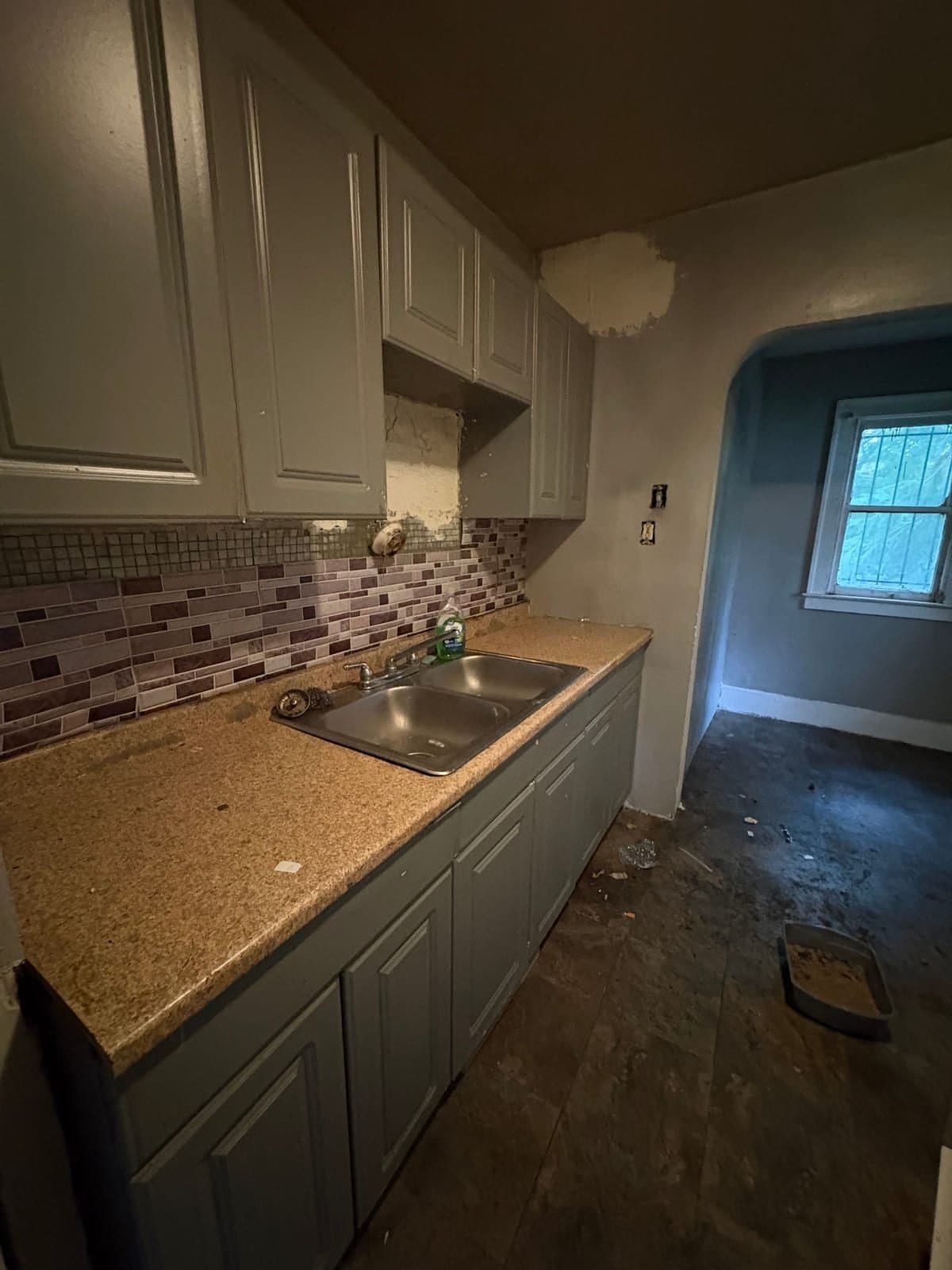Detroit House: 12094 Littlefield St