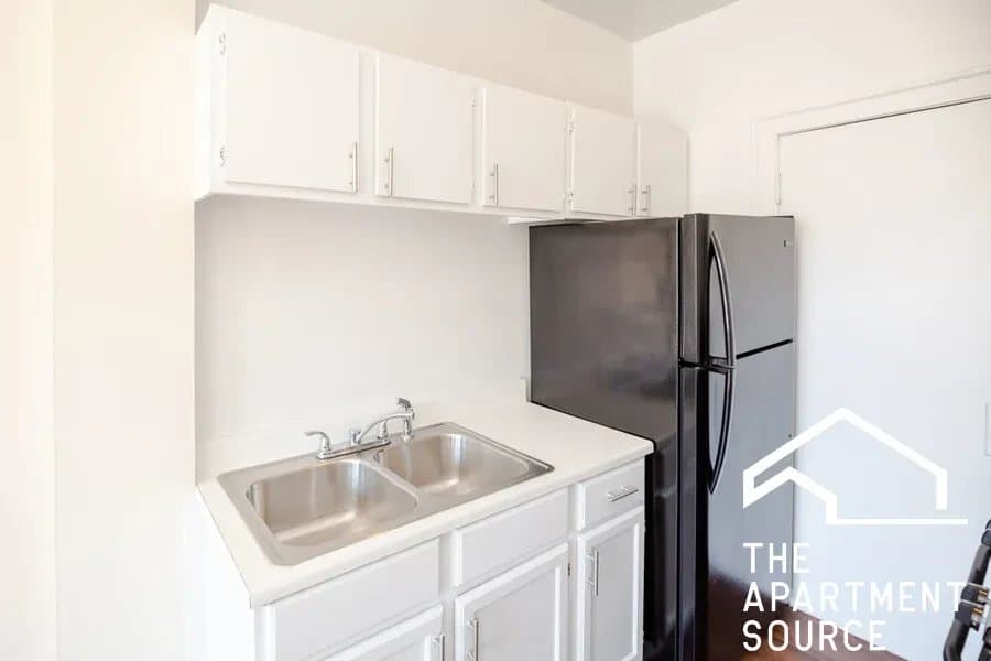 Chicago Apartment: 1550 West 95th Street #308 Chicago, IL 60643