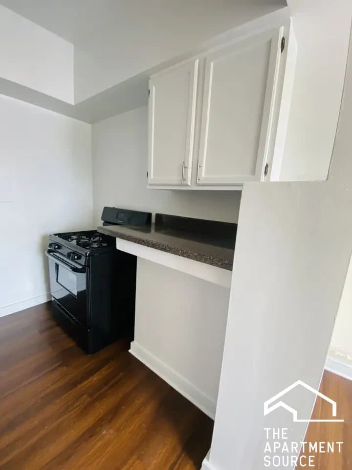 Chicago Apartment: 1550 West 95th Street #308 Chicago, IL 60643