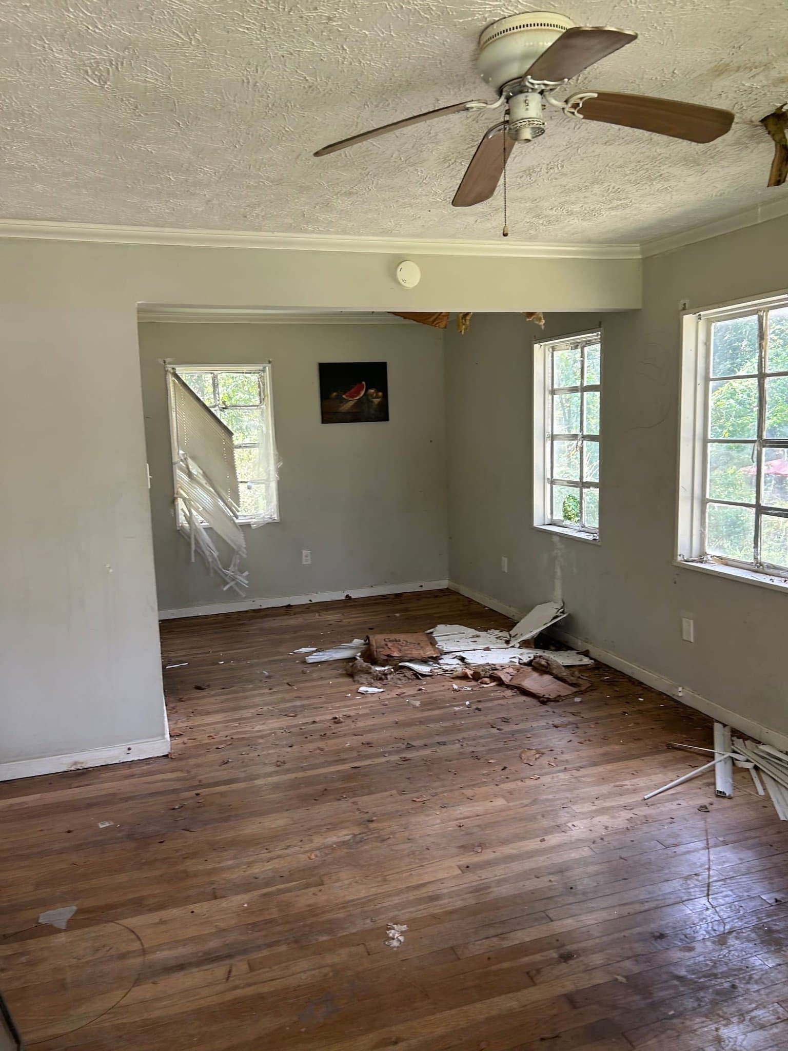 Jackson House: 1753 McGee