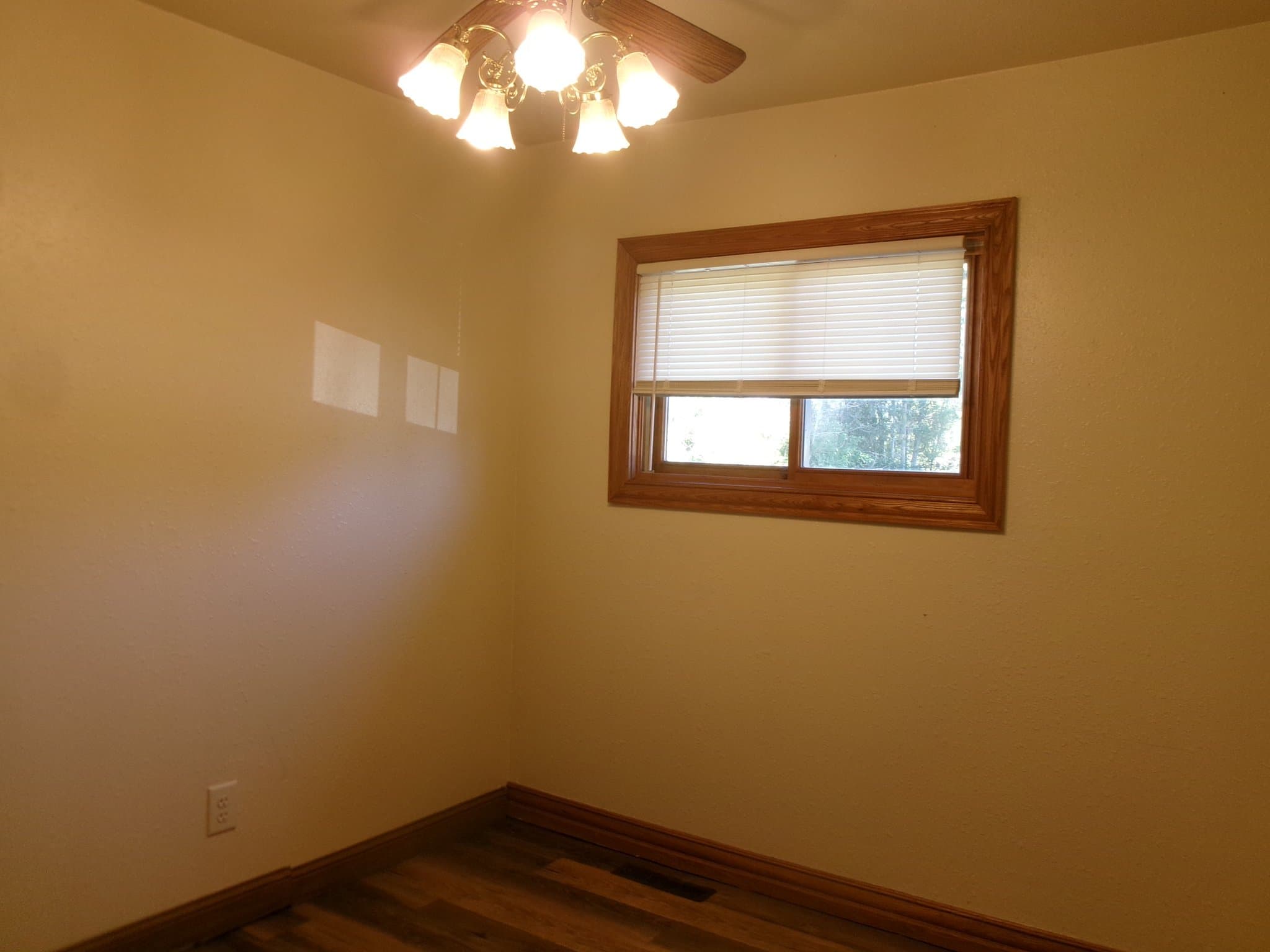 New London Multiplex: N4789 Cty Rd B