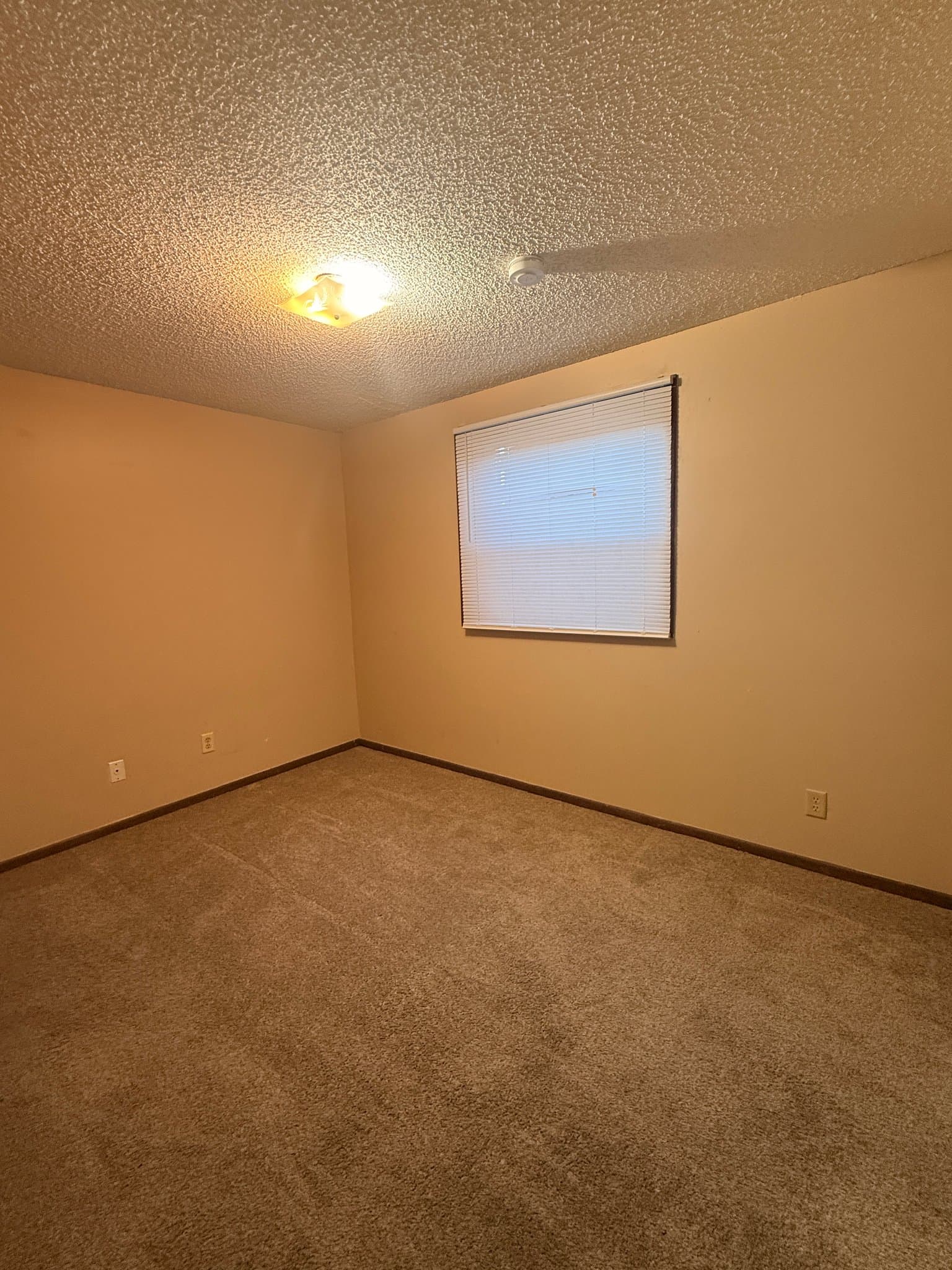Lincoln Apartment: 1228 E St