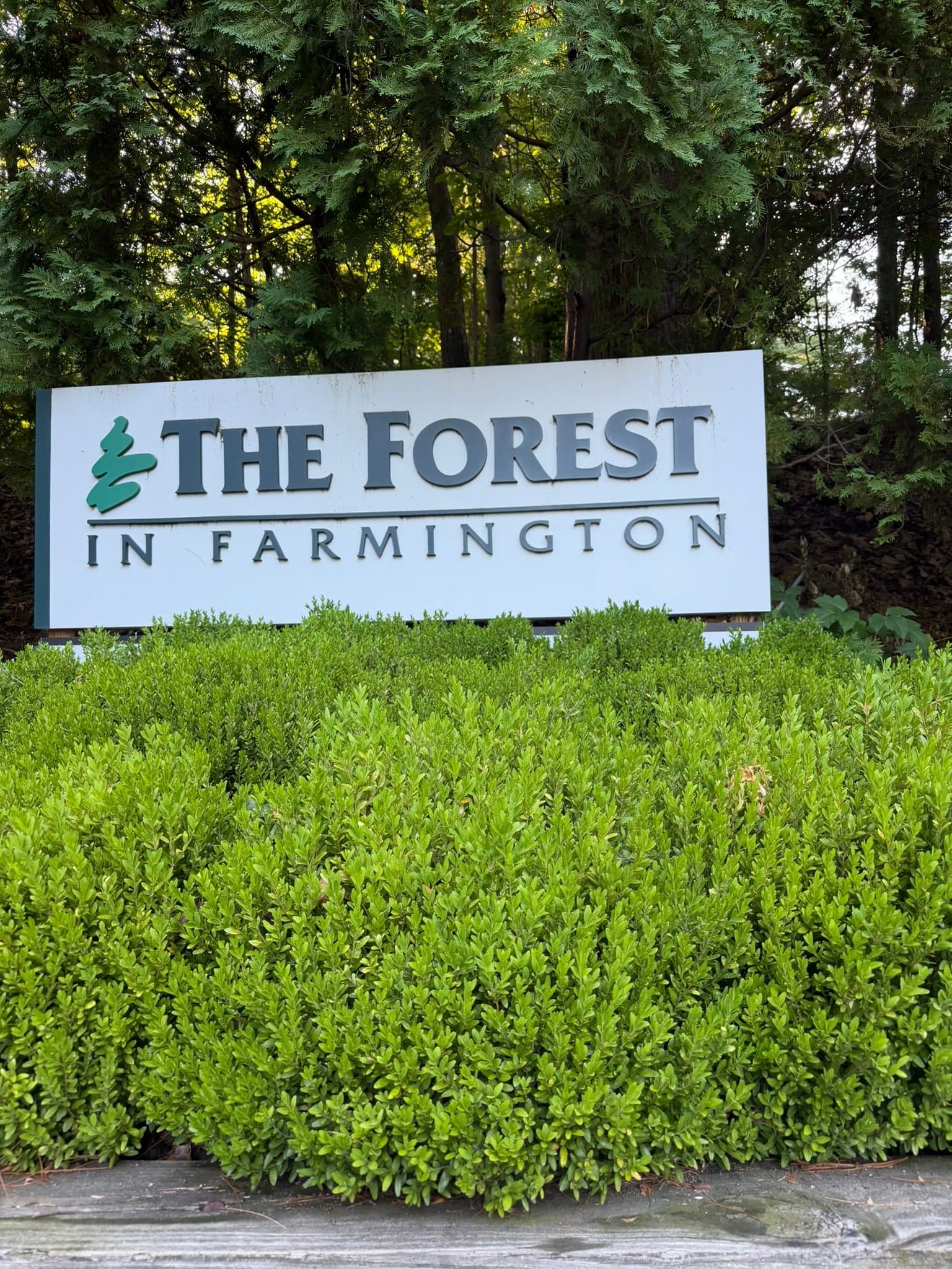 Farmington Townhome: 12 Talcott Forest Rd