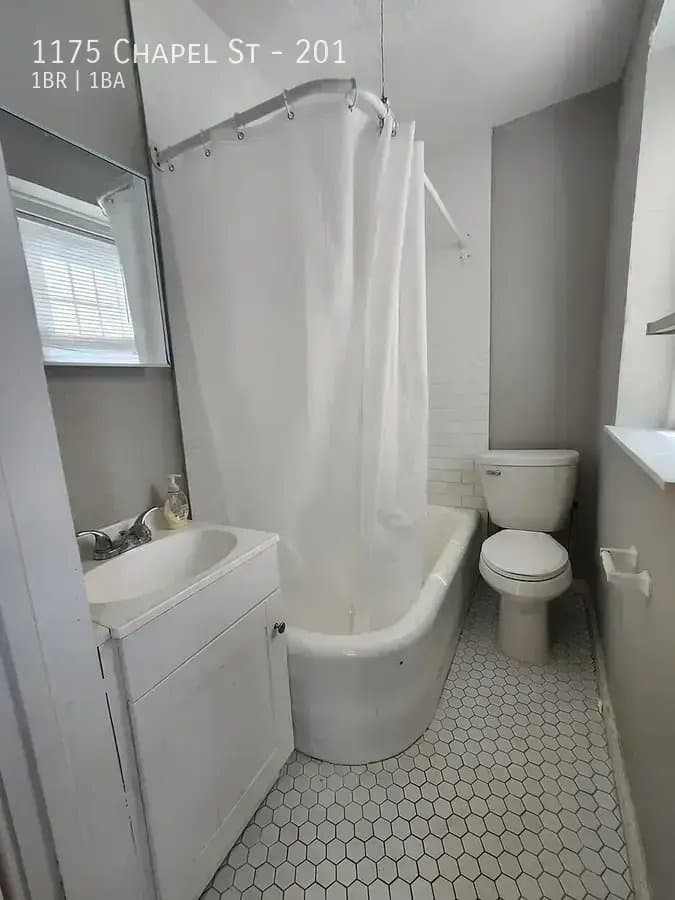 New Haven Apartment: 1175 Chapel St