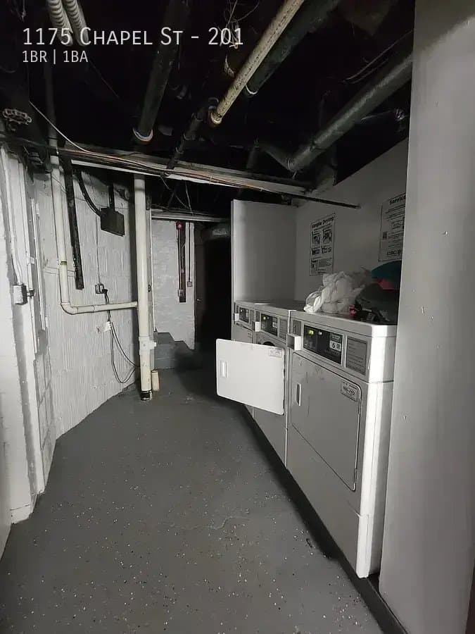 New Haven Apartment: 1175 Chapel St