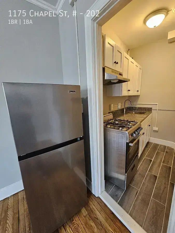 New Haven Apartment: 1175 Chapel St