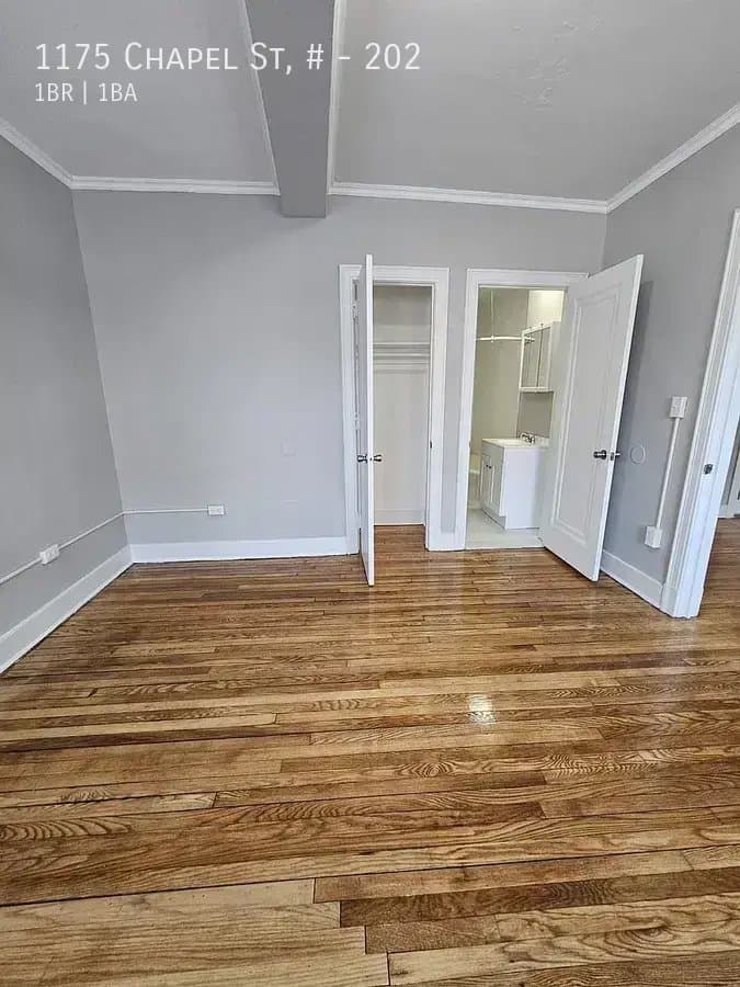 New Haven Apartment: 1175 Chapel St