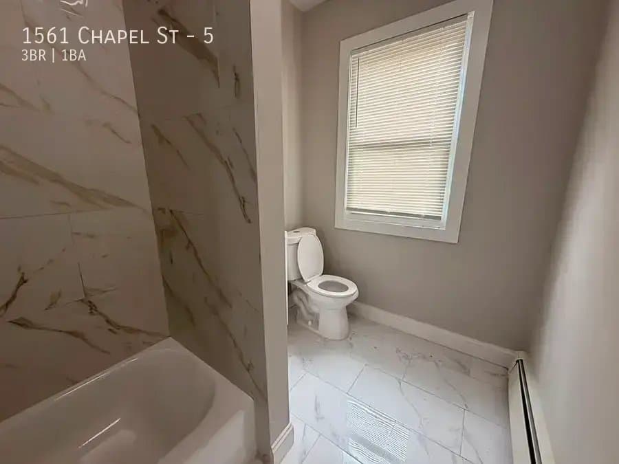 New Haven Apartment: 1561 Chapel St