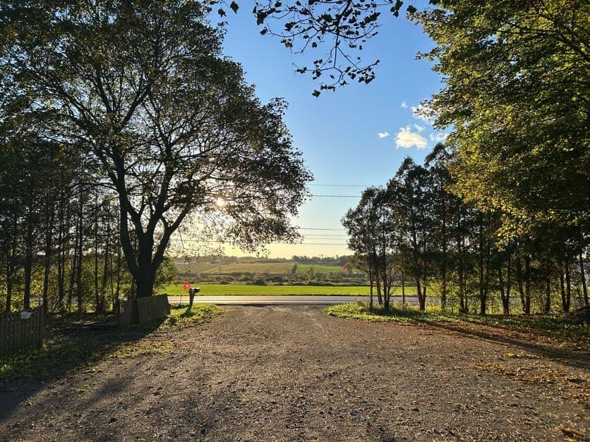 Freeville House: 298 North Rd